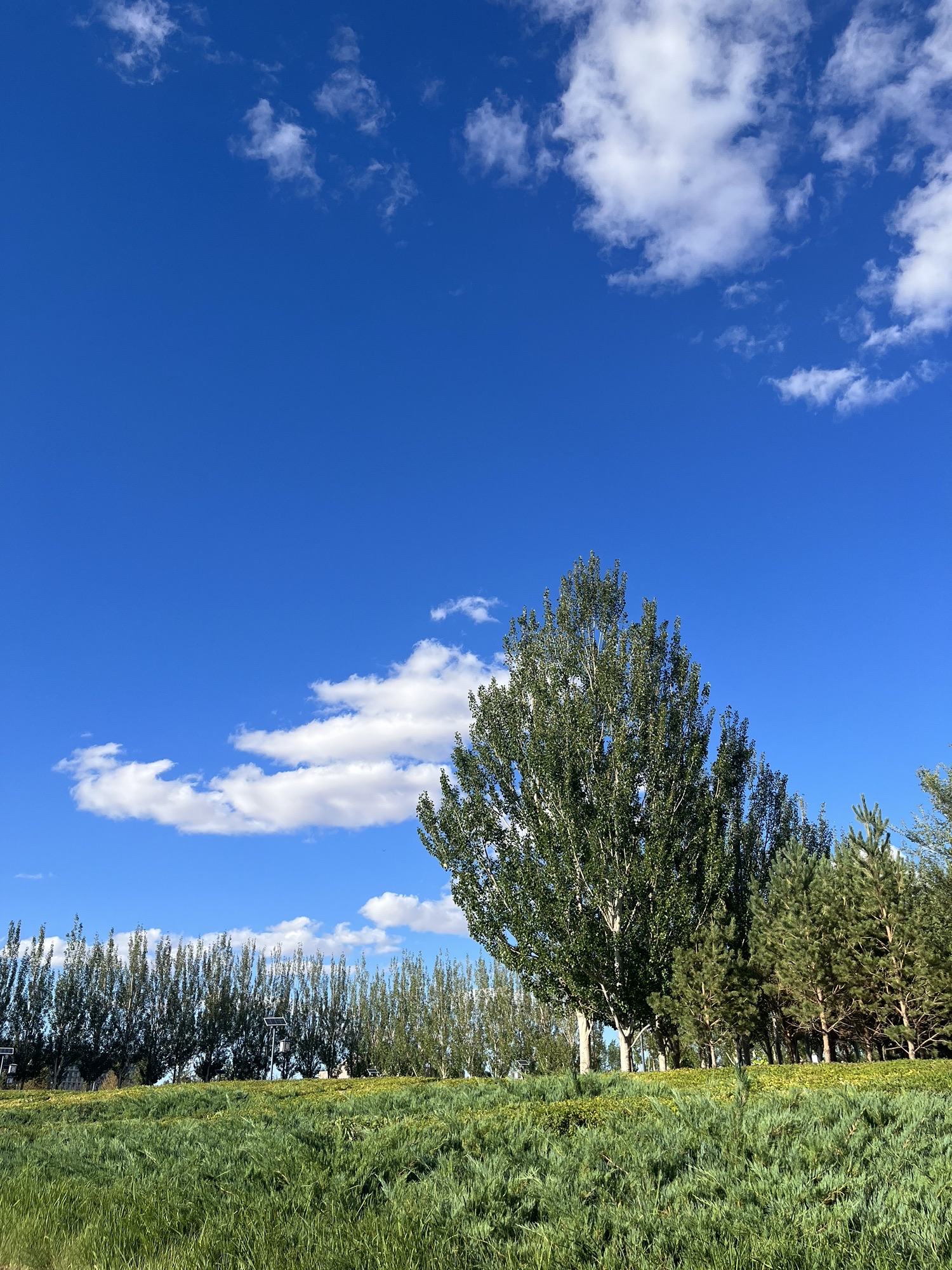 苏尼特广场旅行图片 2