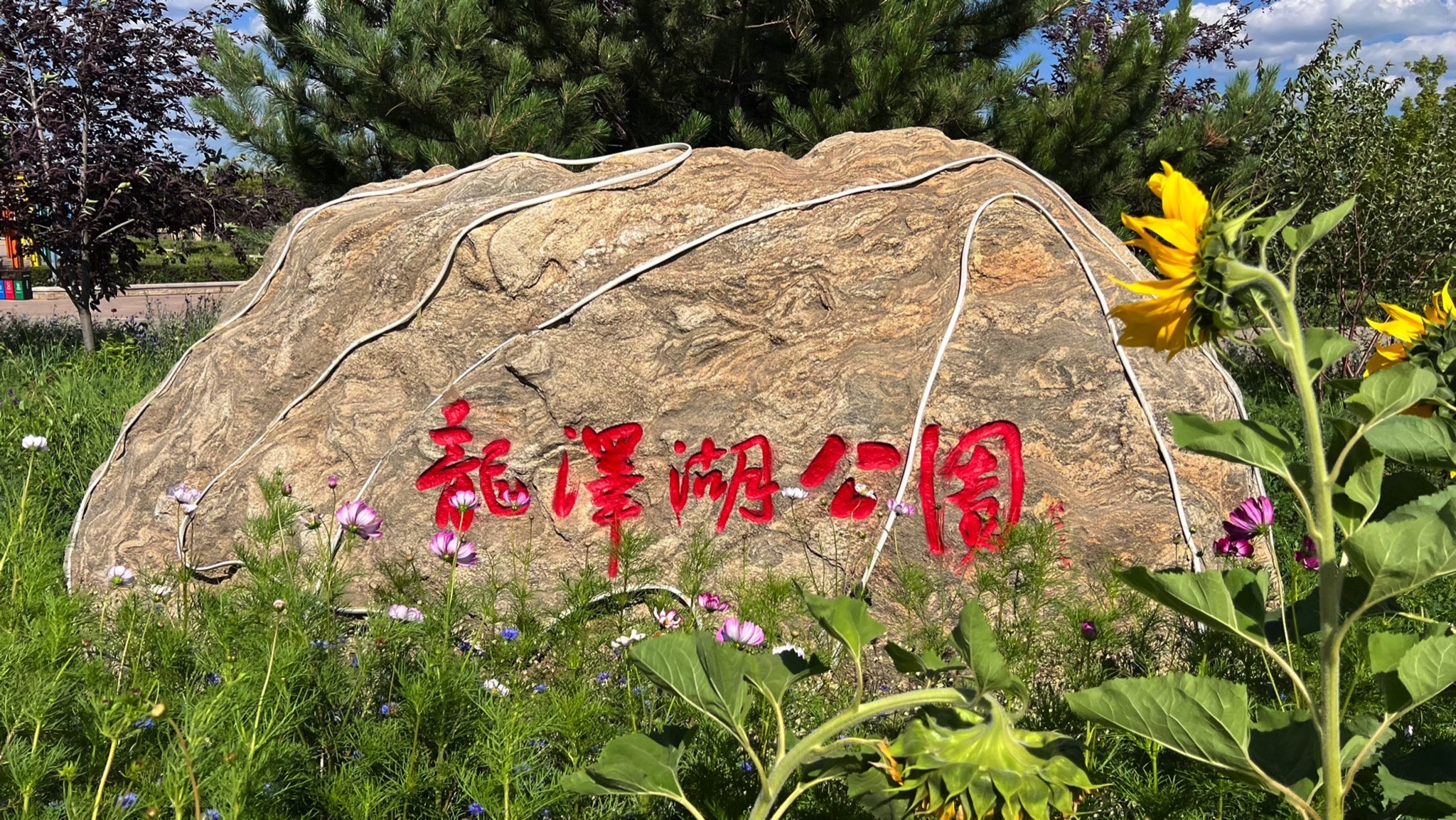 龙泽湖公园