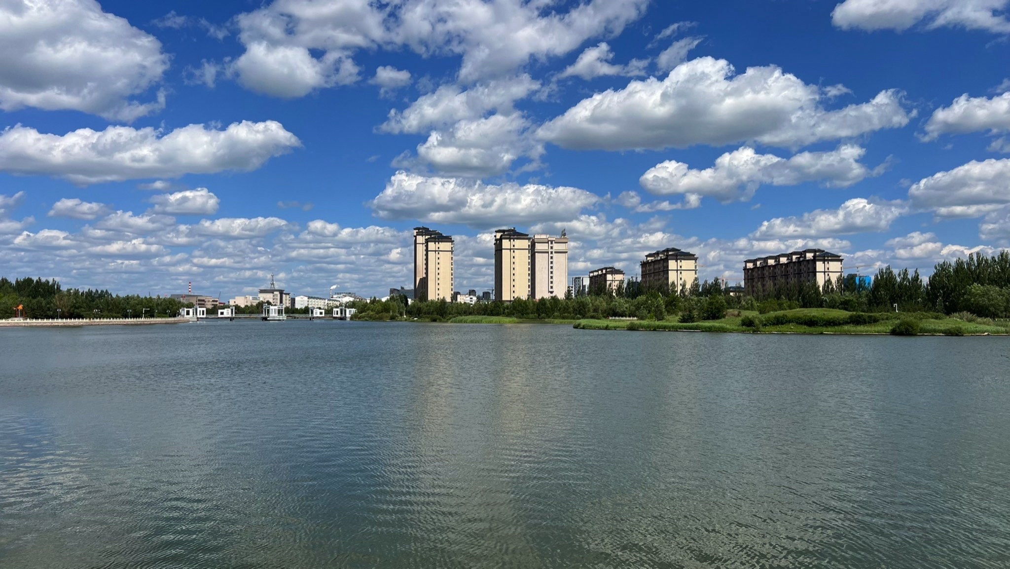 龙泽湖公园