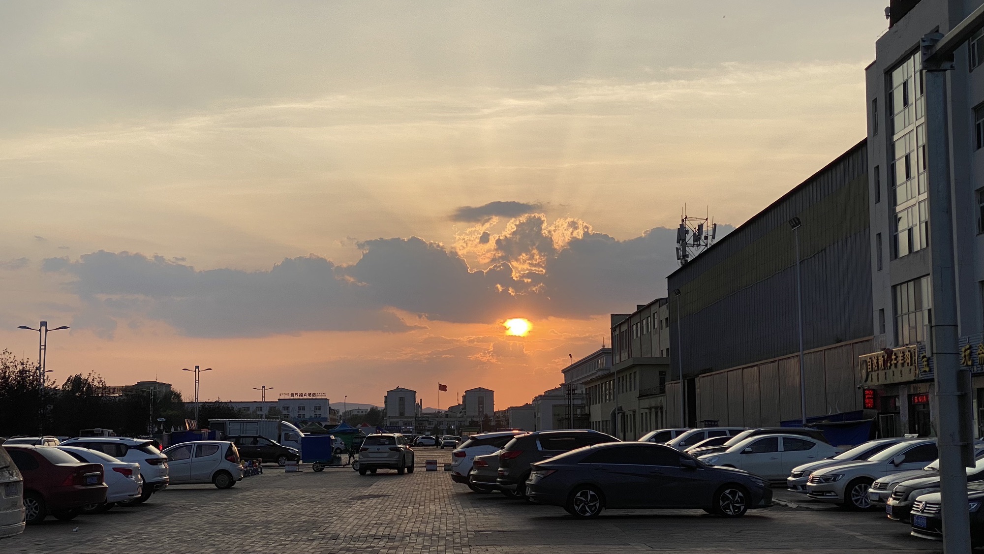 龙泽湖公园旅行图片 1