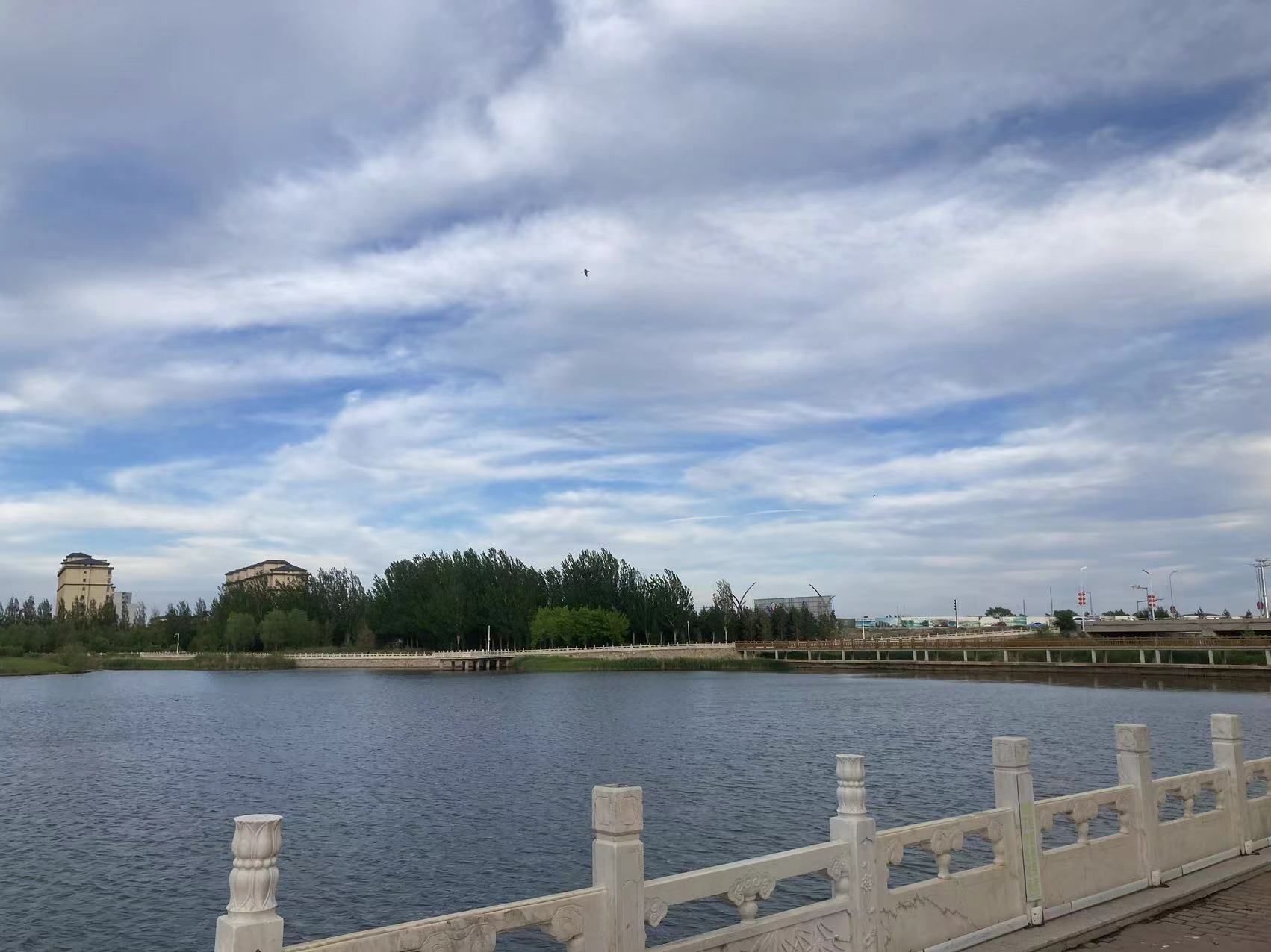 龙泽湖公园旅行图片 2