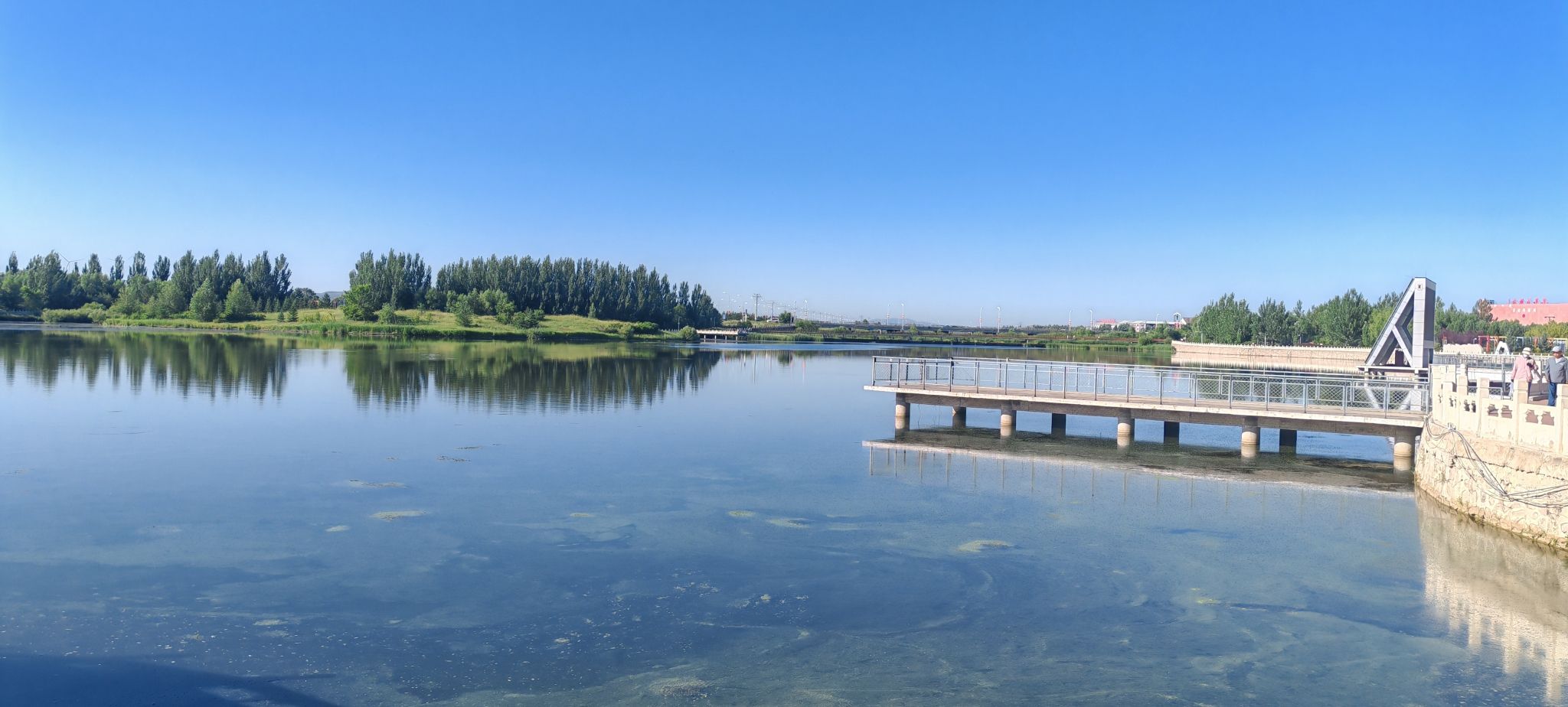 龙泽湖公园