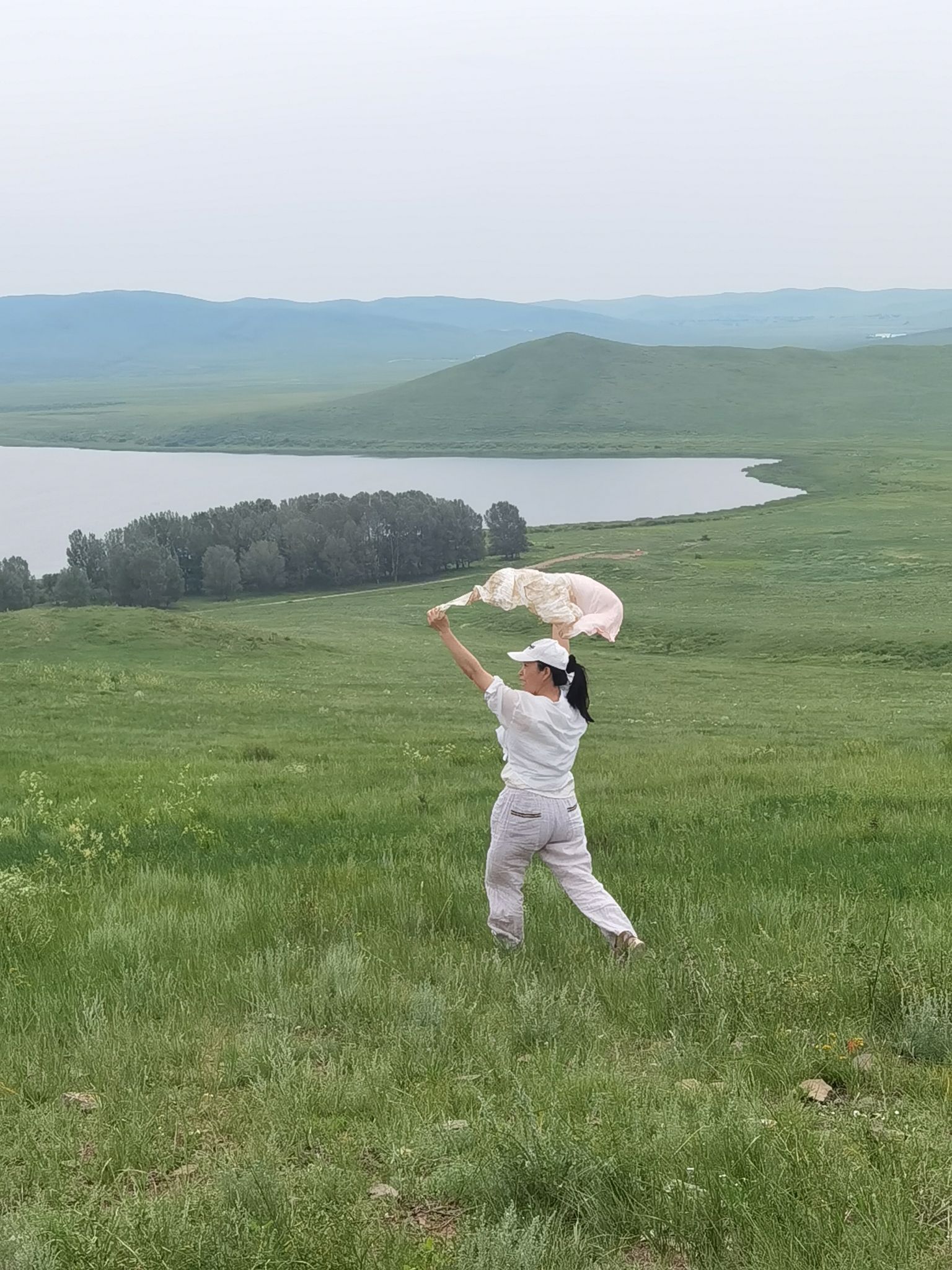 白音锡勒草原旅行图片 1