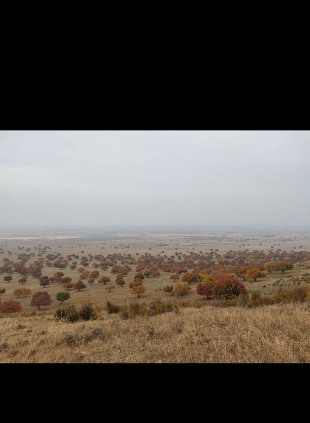 五角枫生态旅游景区旅行图片 1