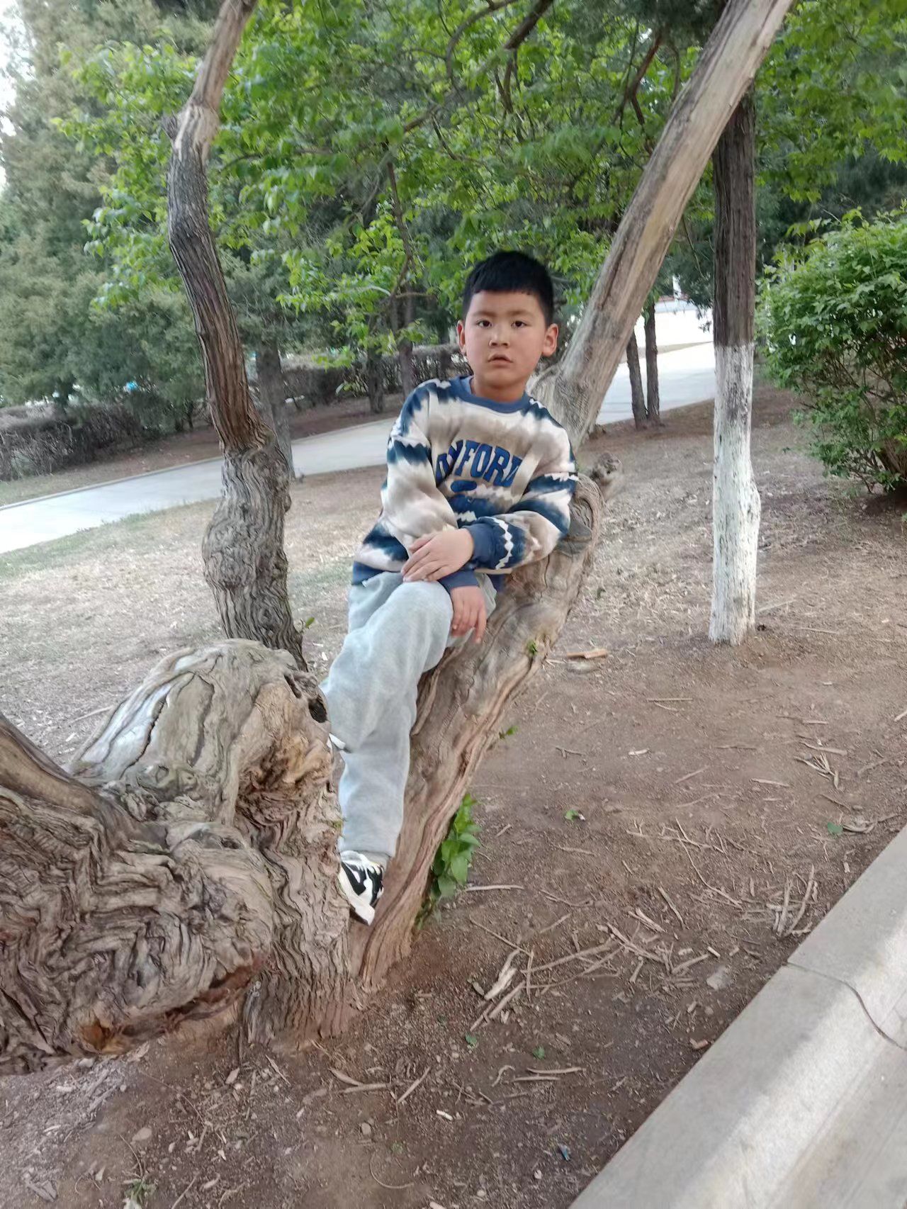 科尔沁国家级自然保护区旅行图片 1