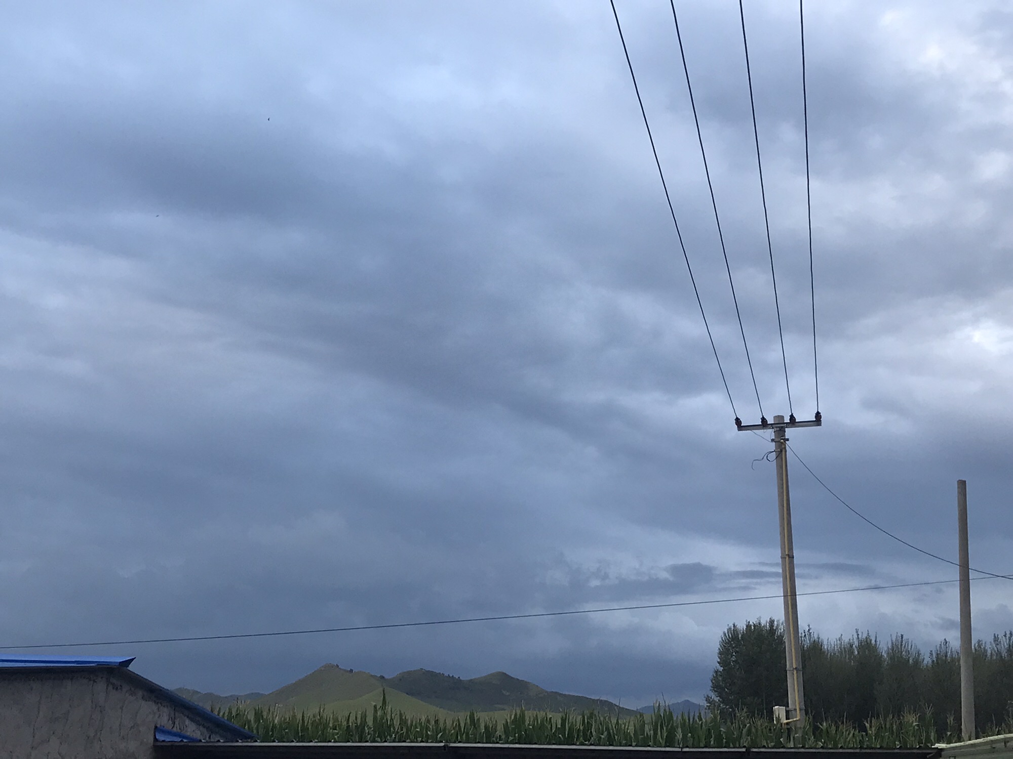 科尔沁国家级自然保护区旅行图片 3