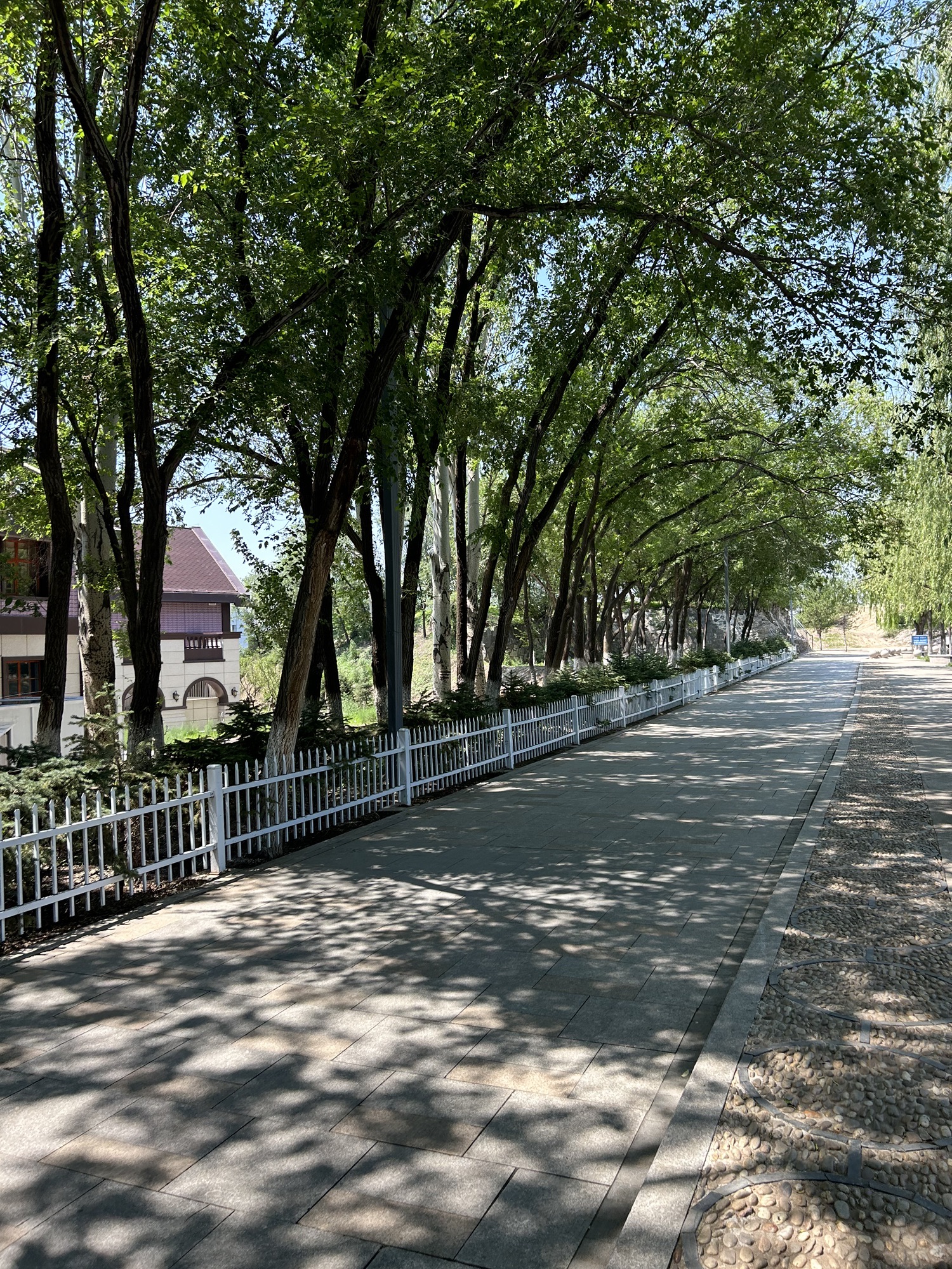 成吉思汗公园旅行图片 3