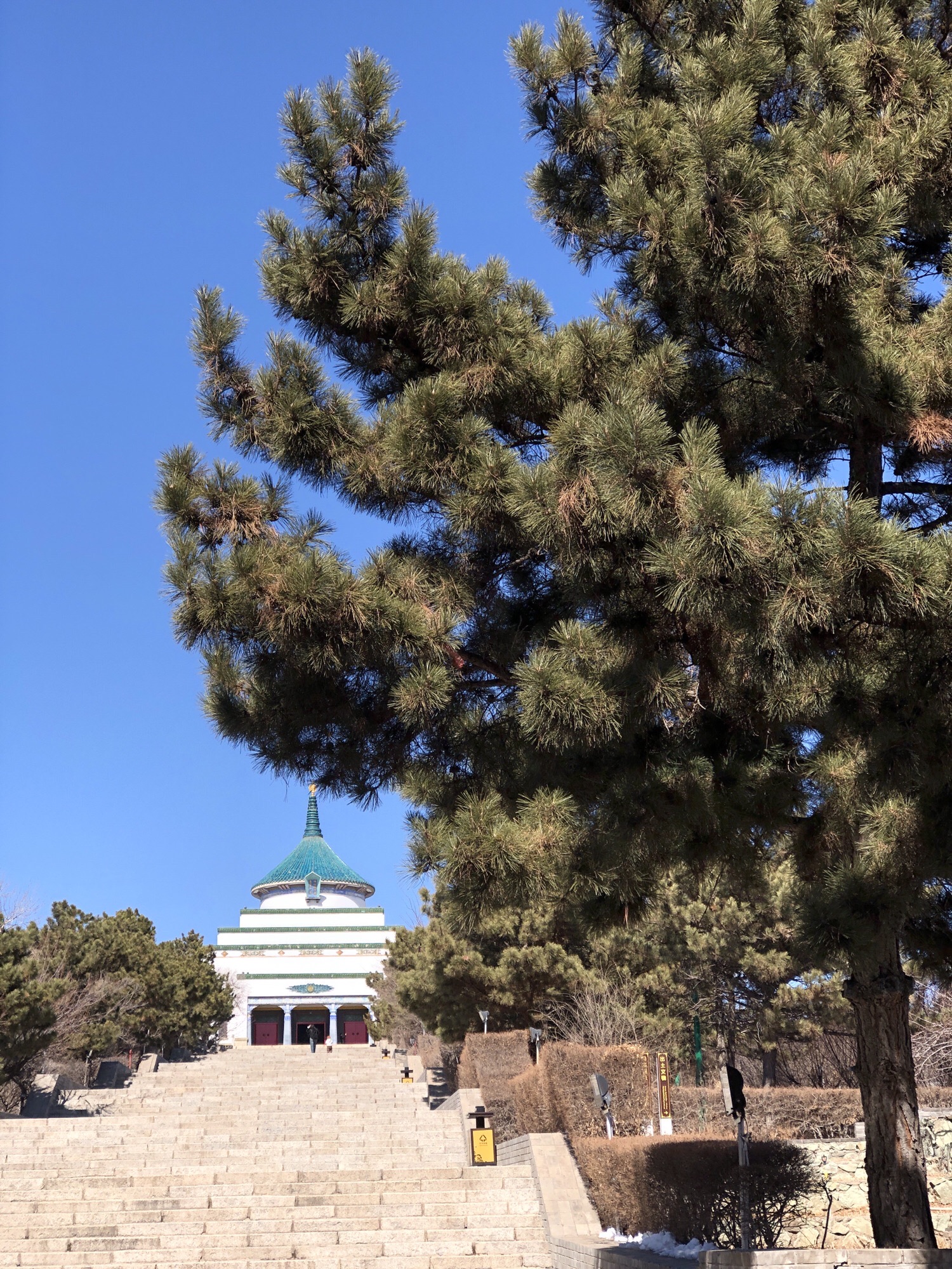 成吉思汗公园旅行图片 2