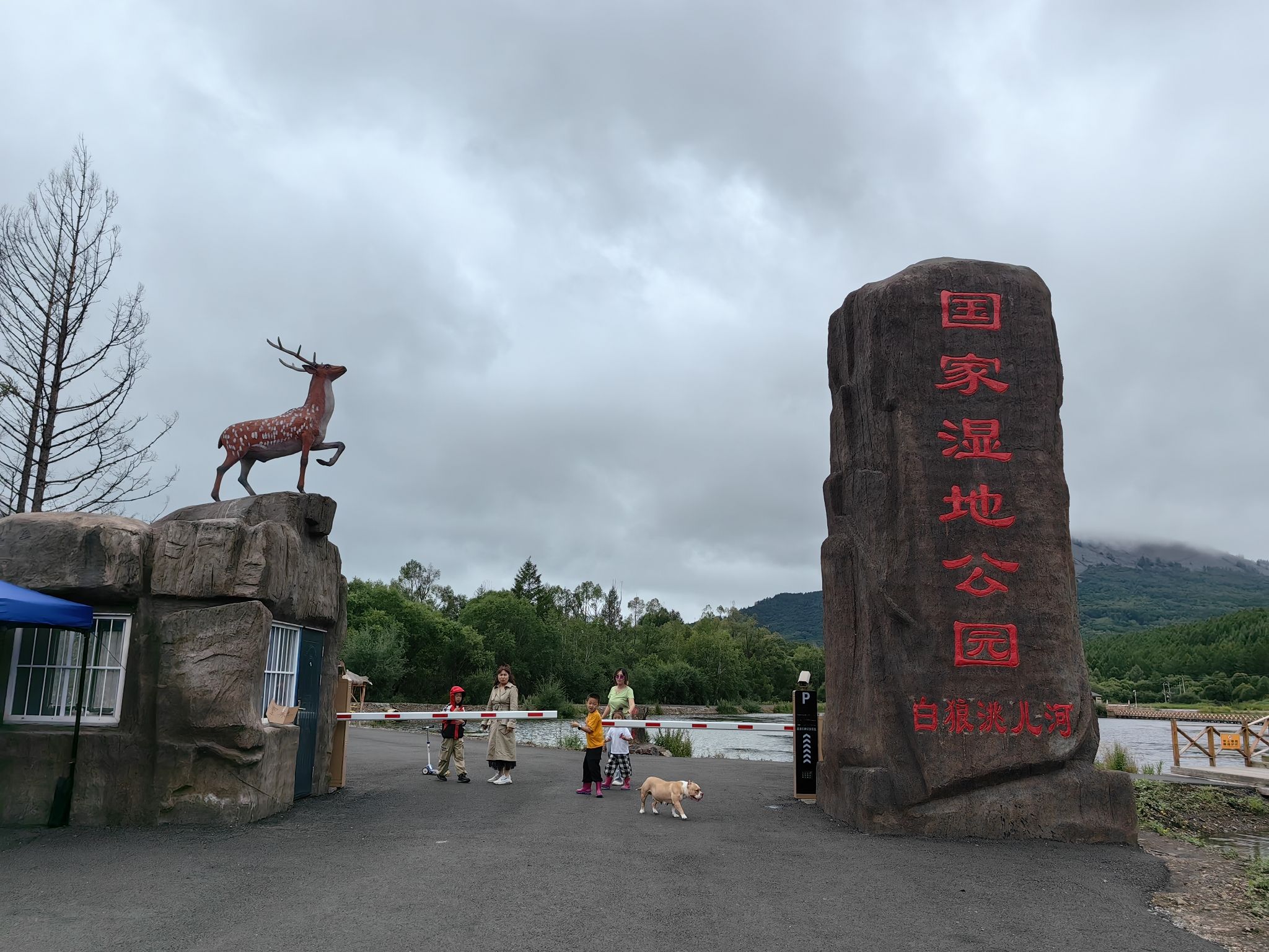 洮儿河国家湿地公园旅行图片 1