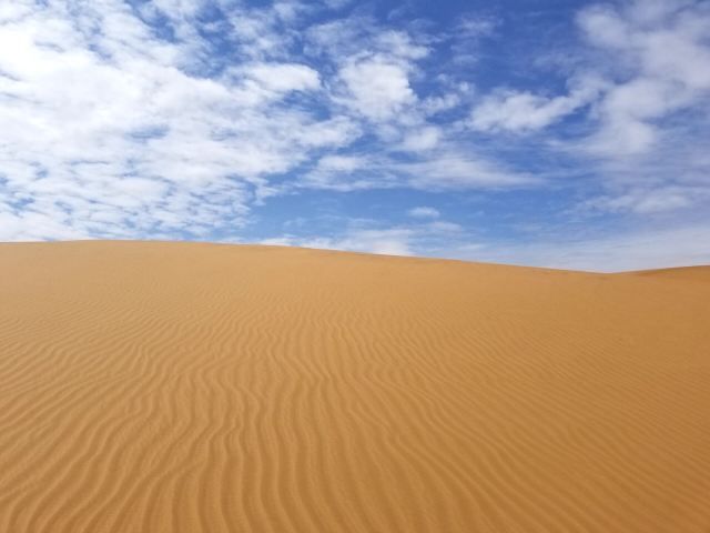 腾格里沙漠通湖草原旅游区旅行图片 1