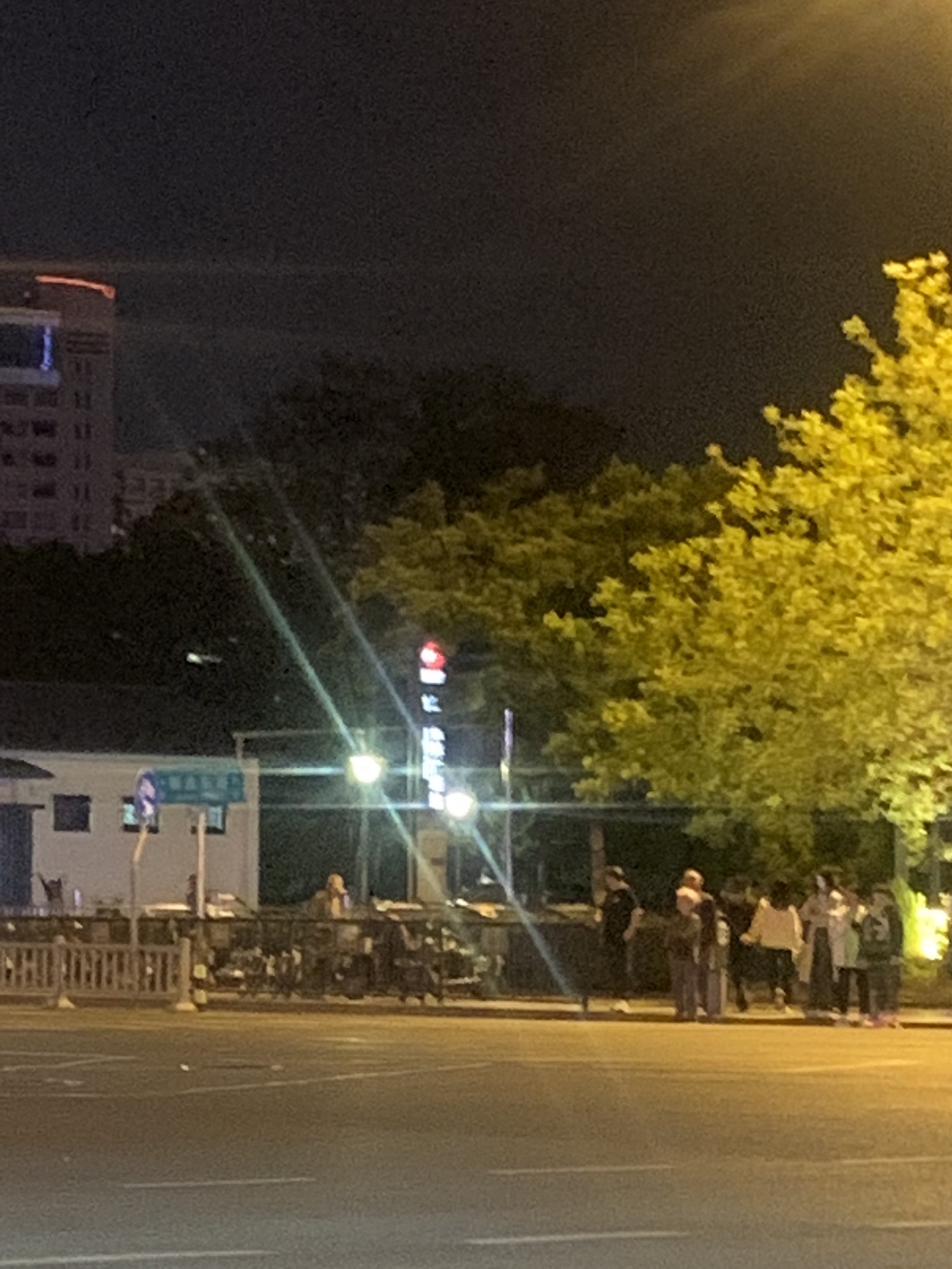 东林广场旅行图片 3