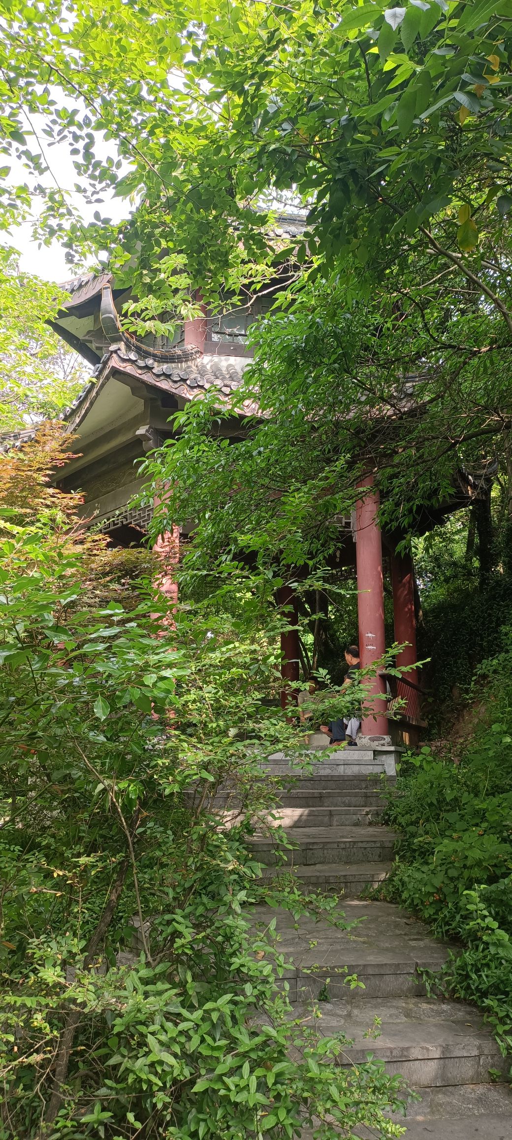 牛犊山公园旅行图片 3