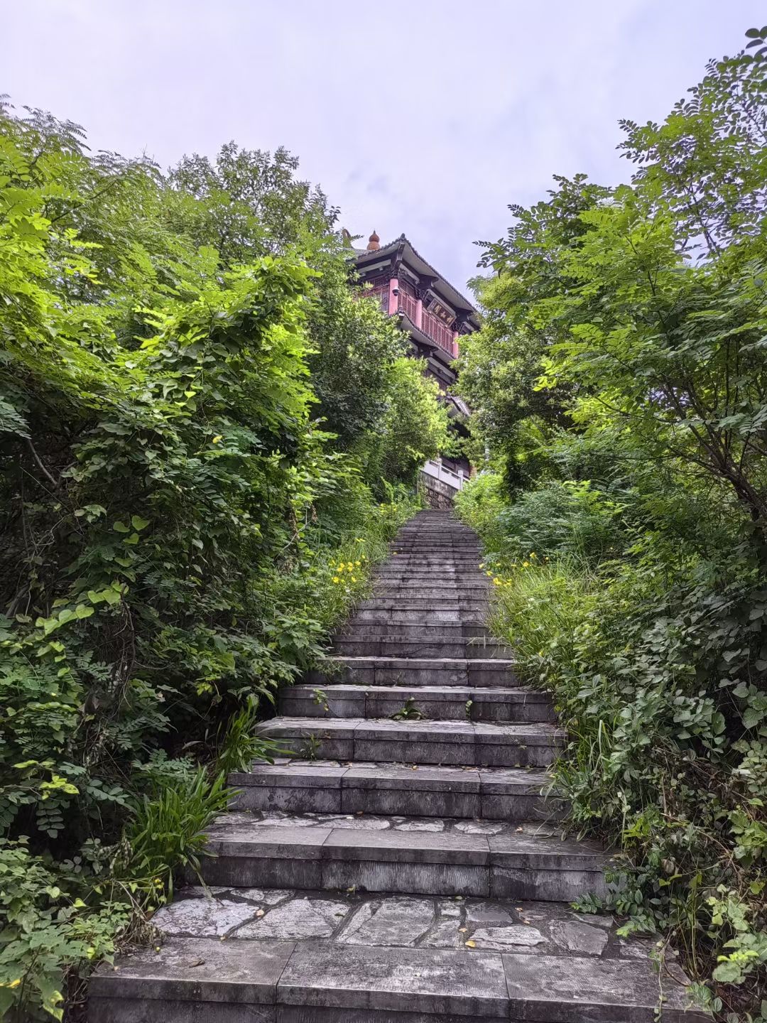 牛犊山公园旅行图片 3