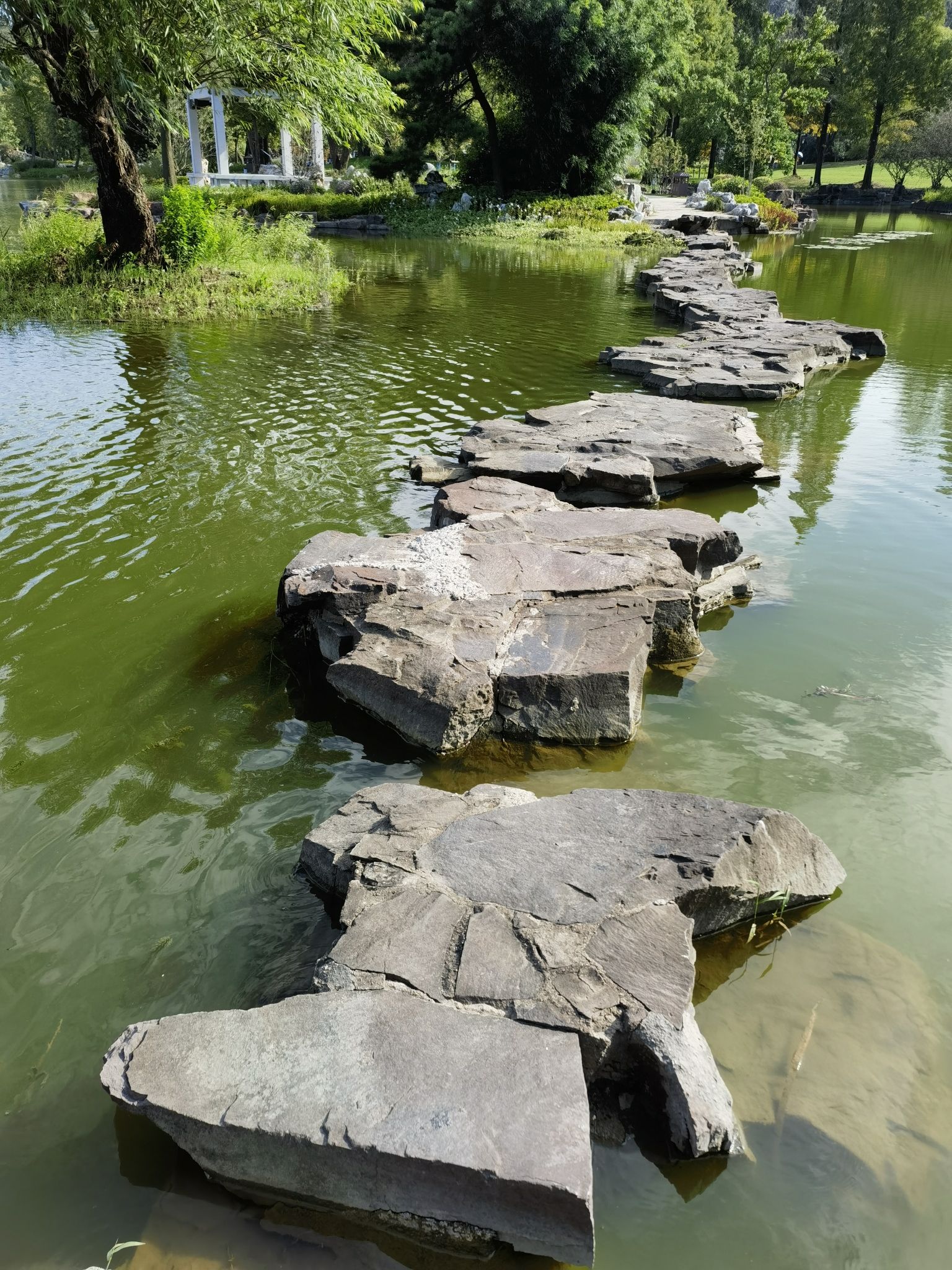 龙头渚自然公园旅行图片 3