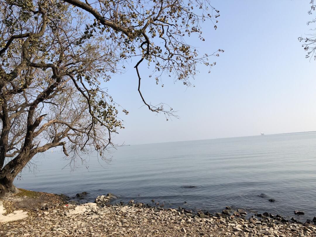 龙头渚自然公园旅行图片 3