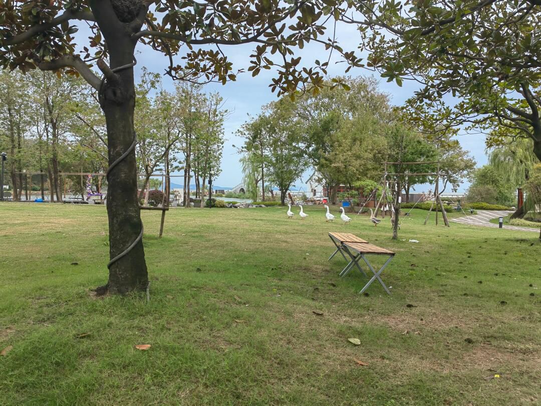 龙头渚自然公园旅行图片 1