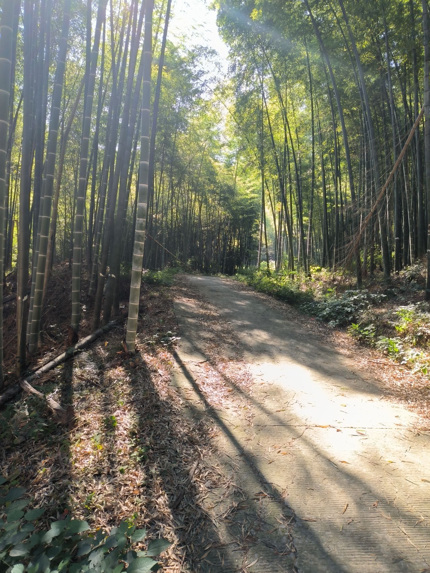 南岳禅寺的第1张图片的图片资料