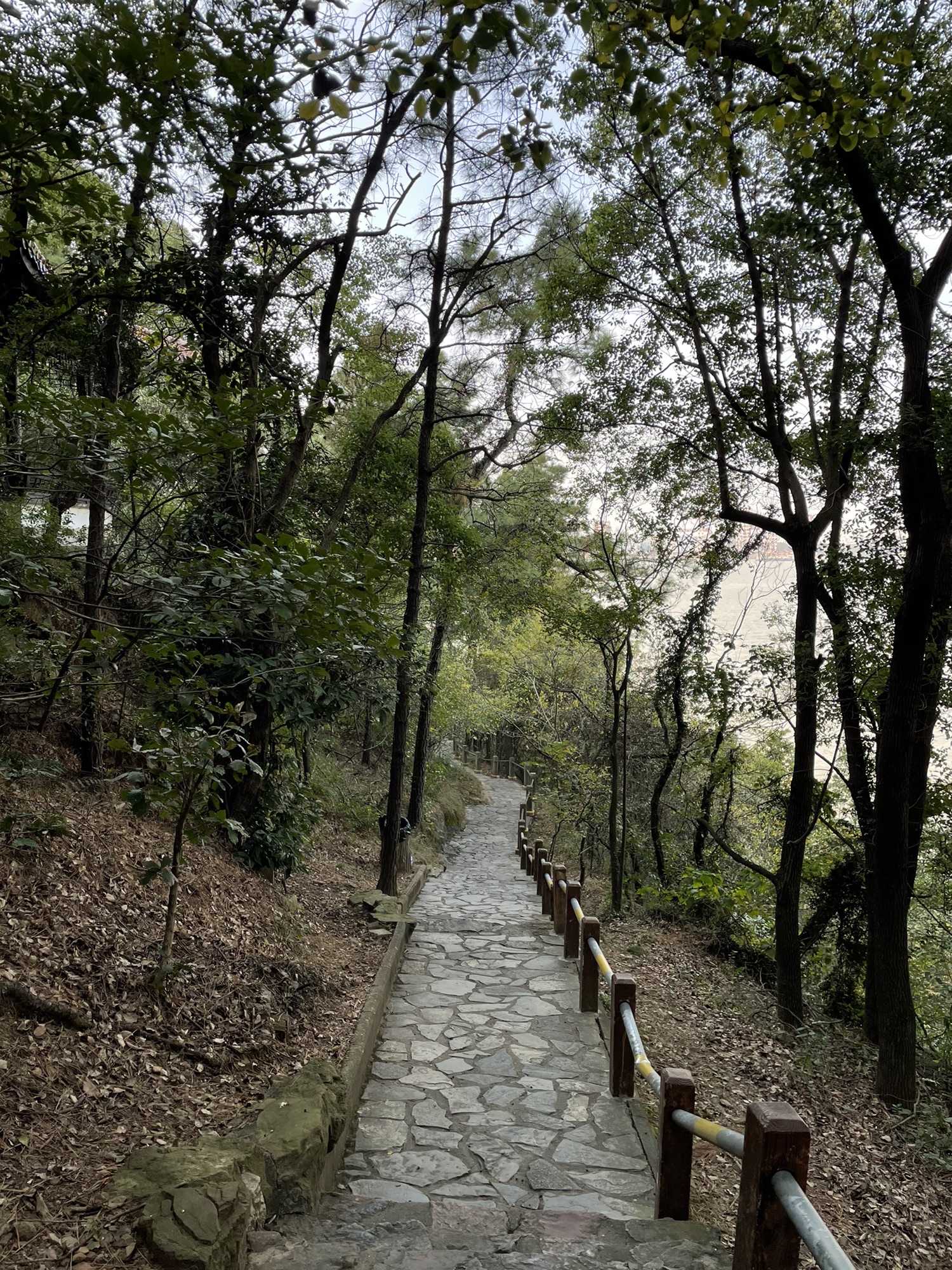 江阴鹅鼻嘴公园旅行图片 3