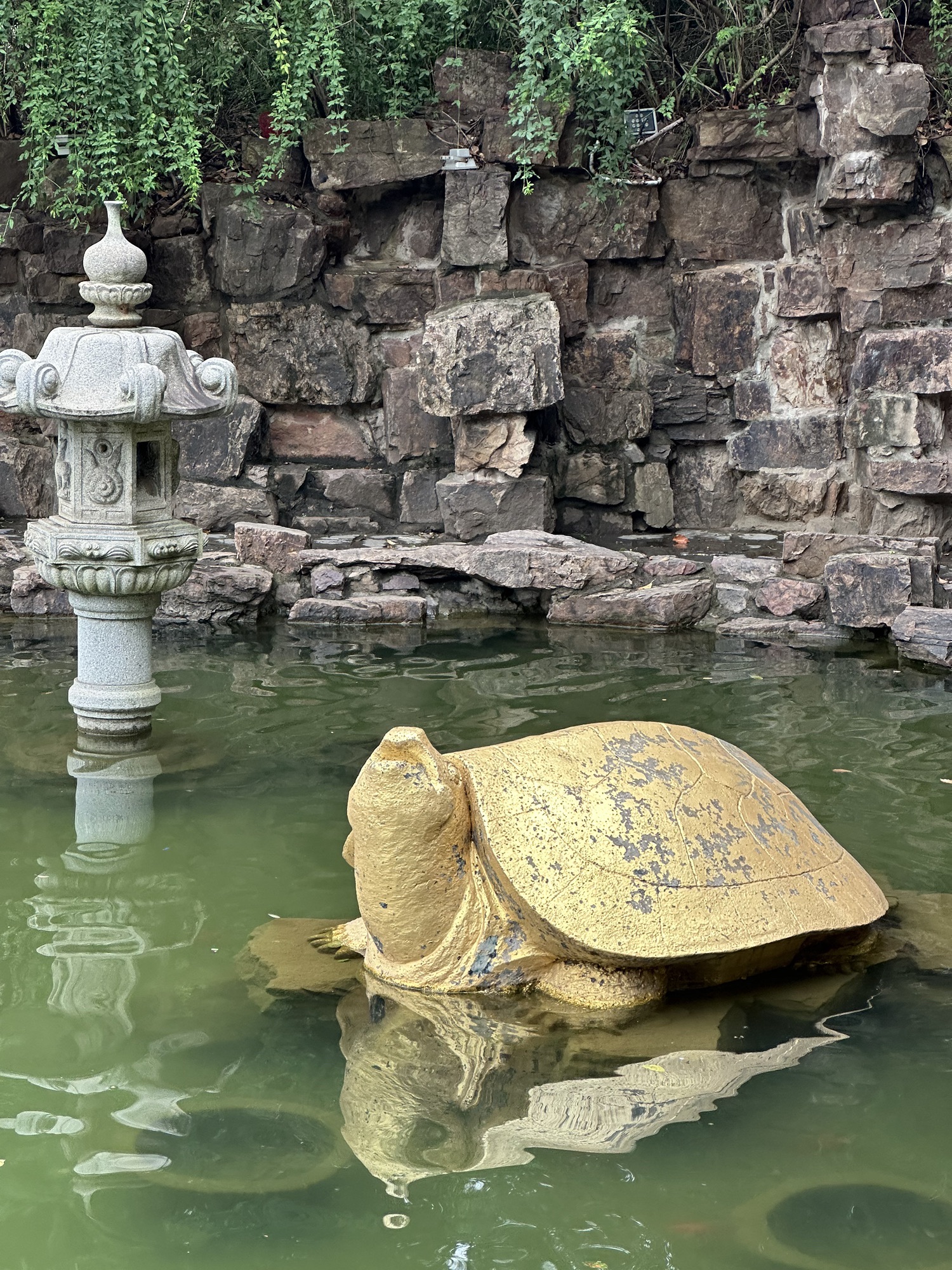 江阴鹅鼻嘴公园旅行图片 2