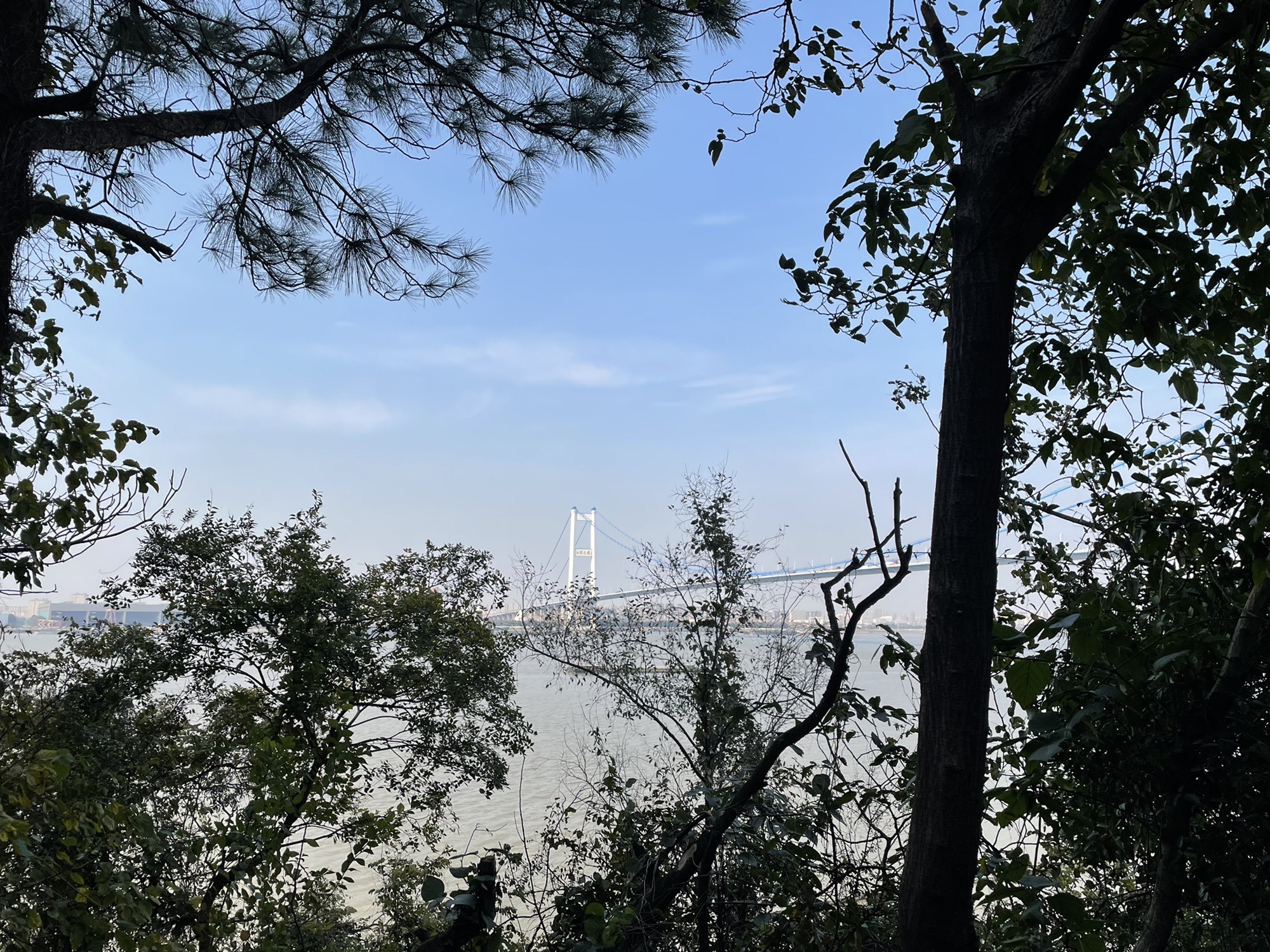 江阴鹅鼻嘴公园旅行图片 2
