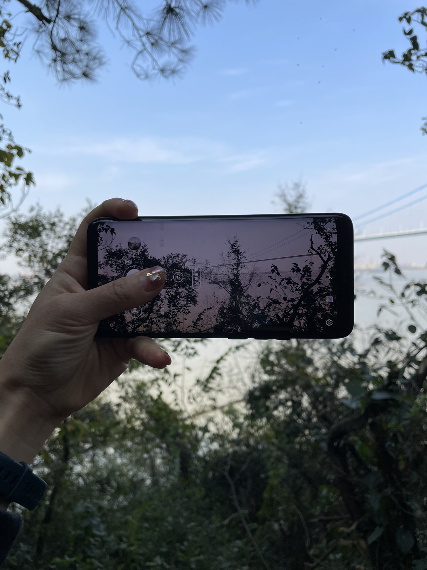 江阴鹅鼻嘴公园旅行图片 1
