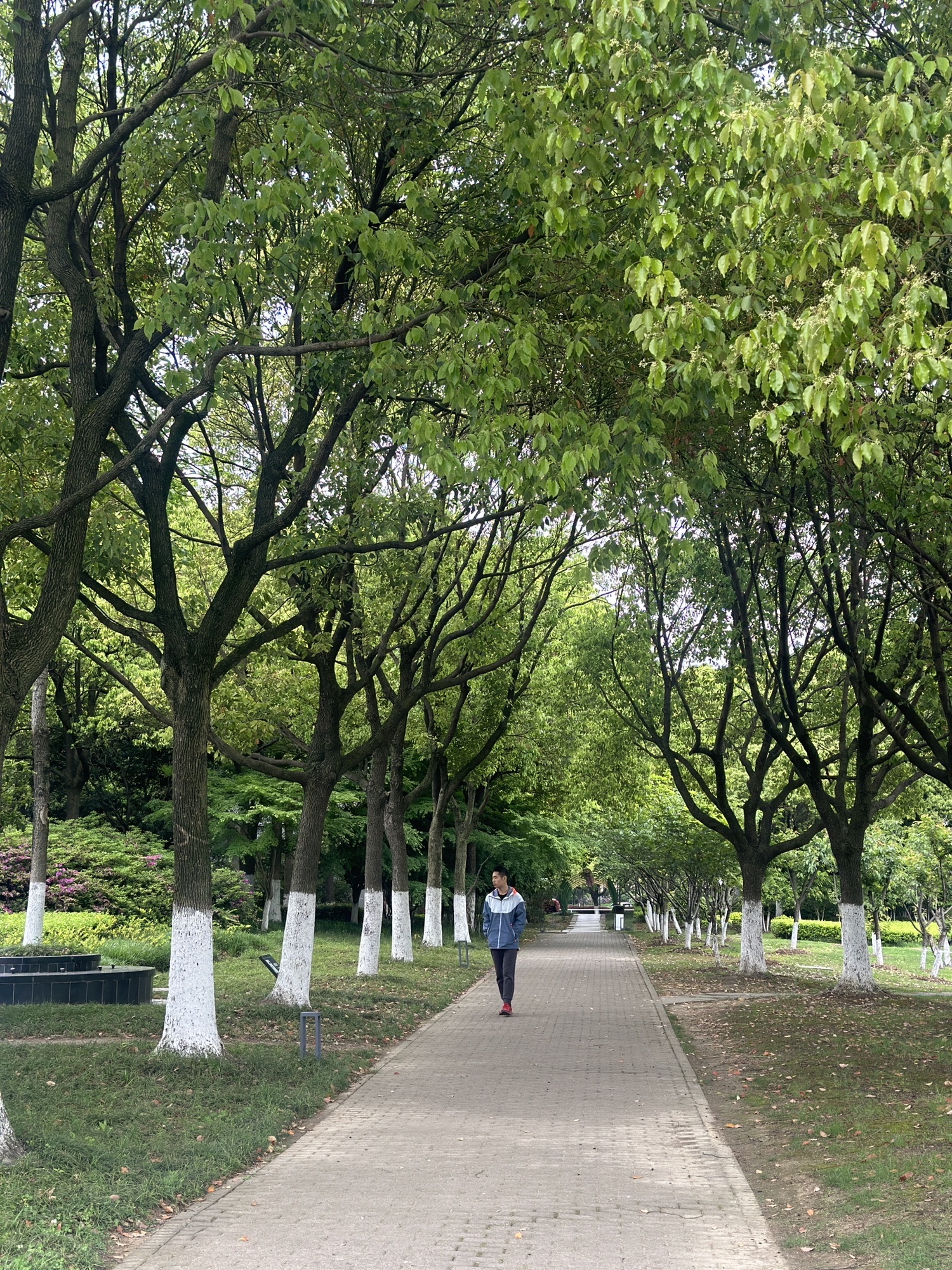 黄山湖公园旅行图片 3