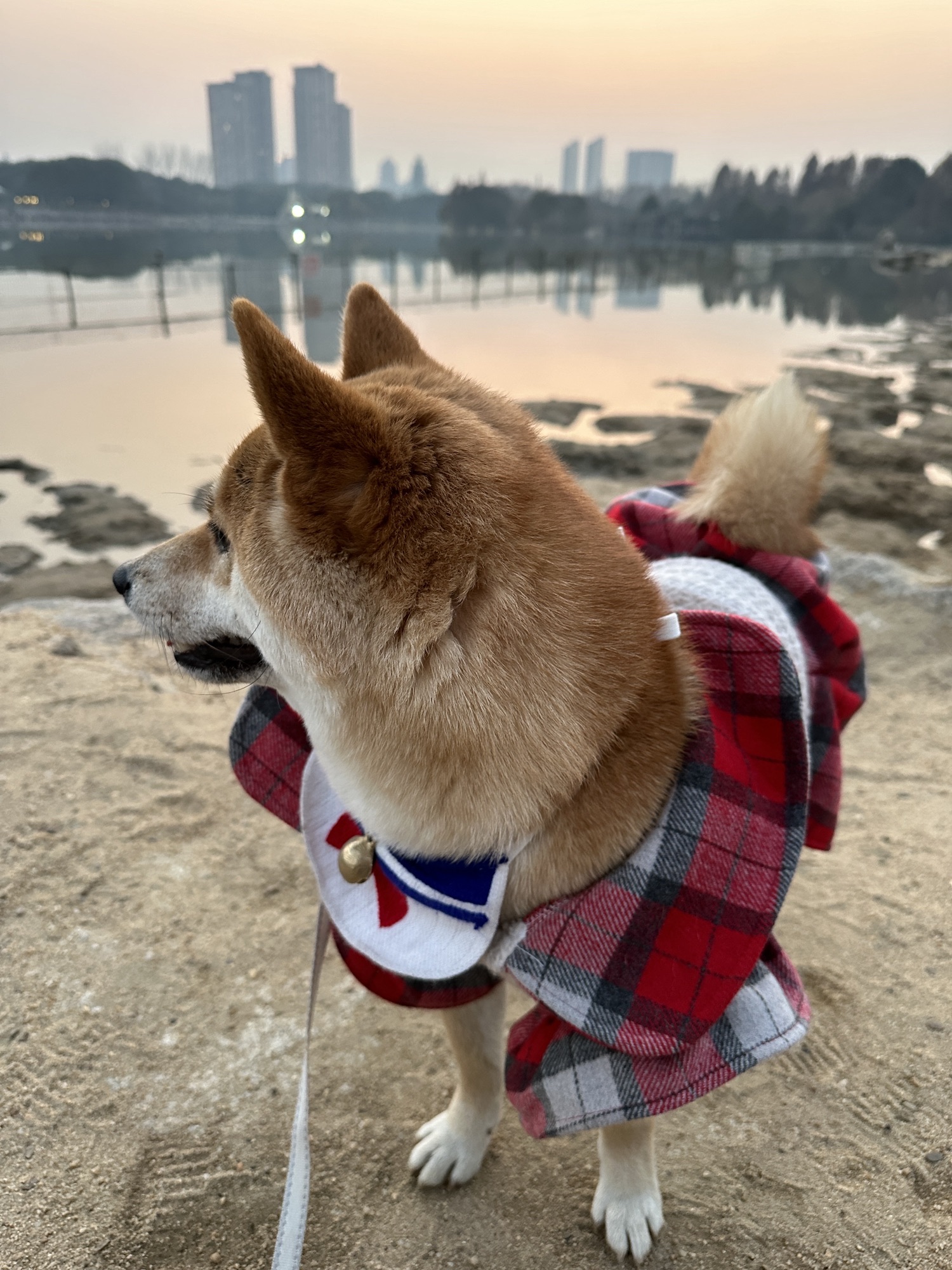 黄山湖公园旅行图片 2