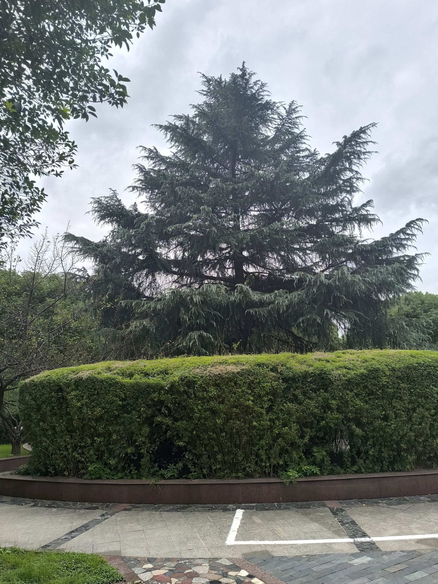 江尖公园旅行图片 3