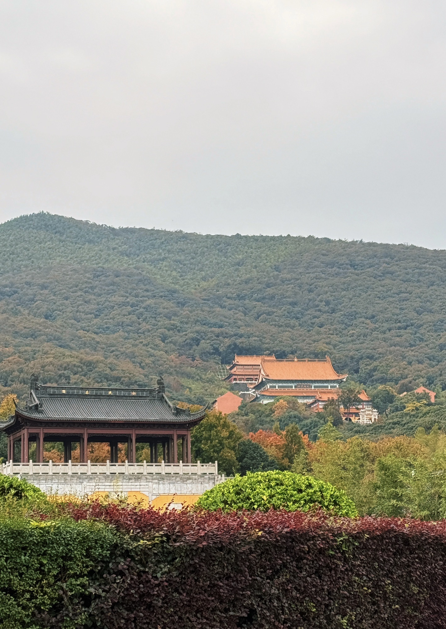 龙池山风景区旅行图片 3
