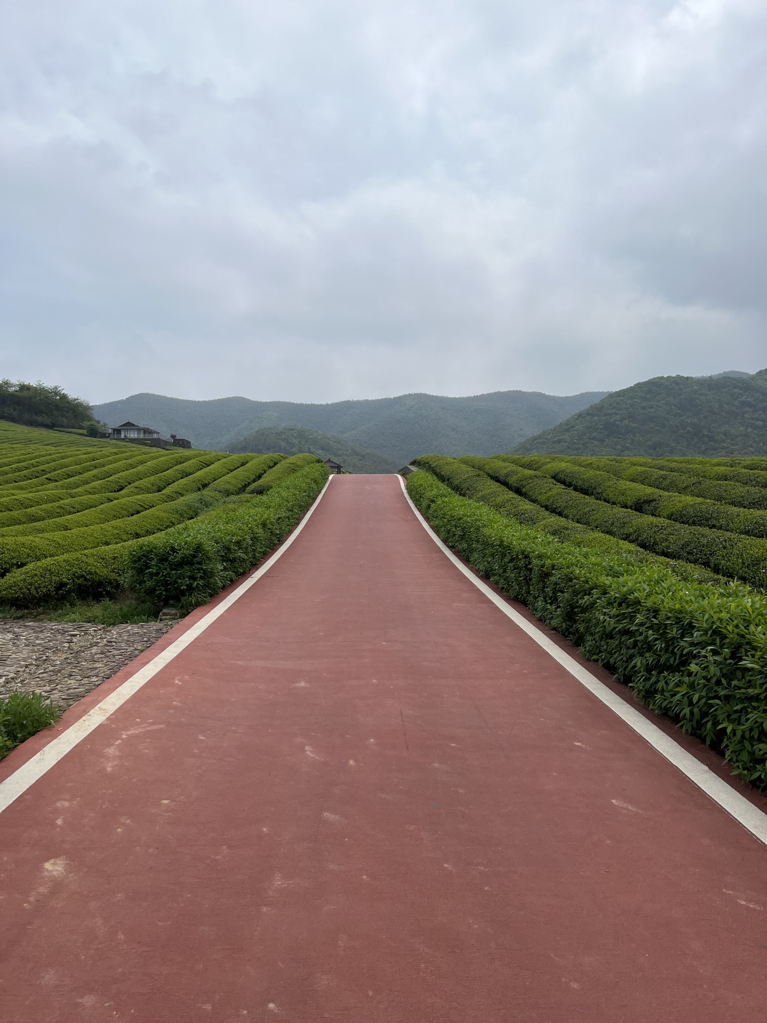 龙池山风景区旅行图片 2