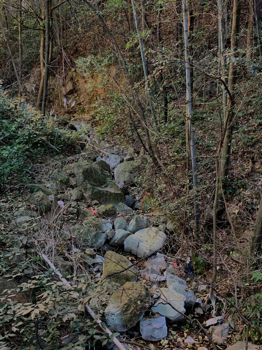 龙池山风景区旅行图片 1