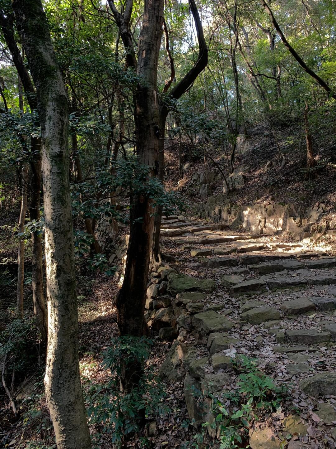 龙池山风景区旅行图片 2
