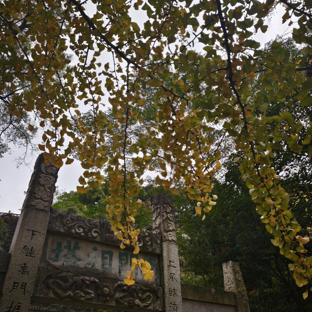 龙池山风景区旅行图片 1