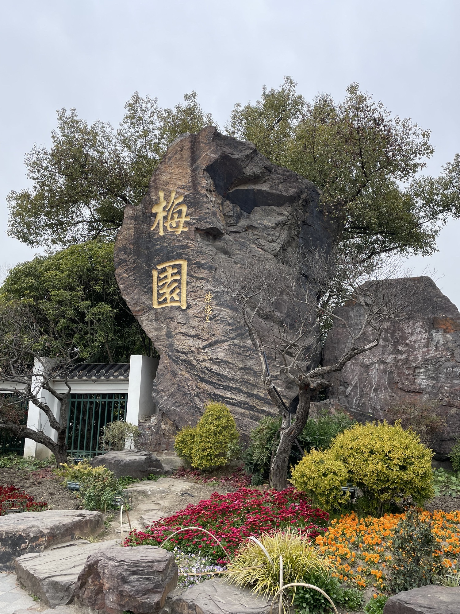 荣氏梅园旅行图片 1