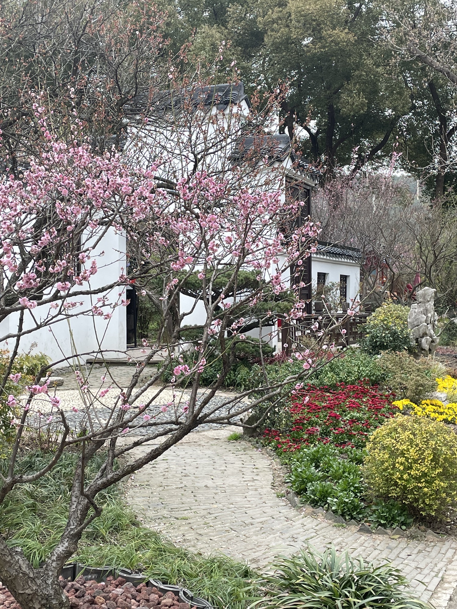 荣氏梅园旅行图片 3