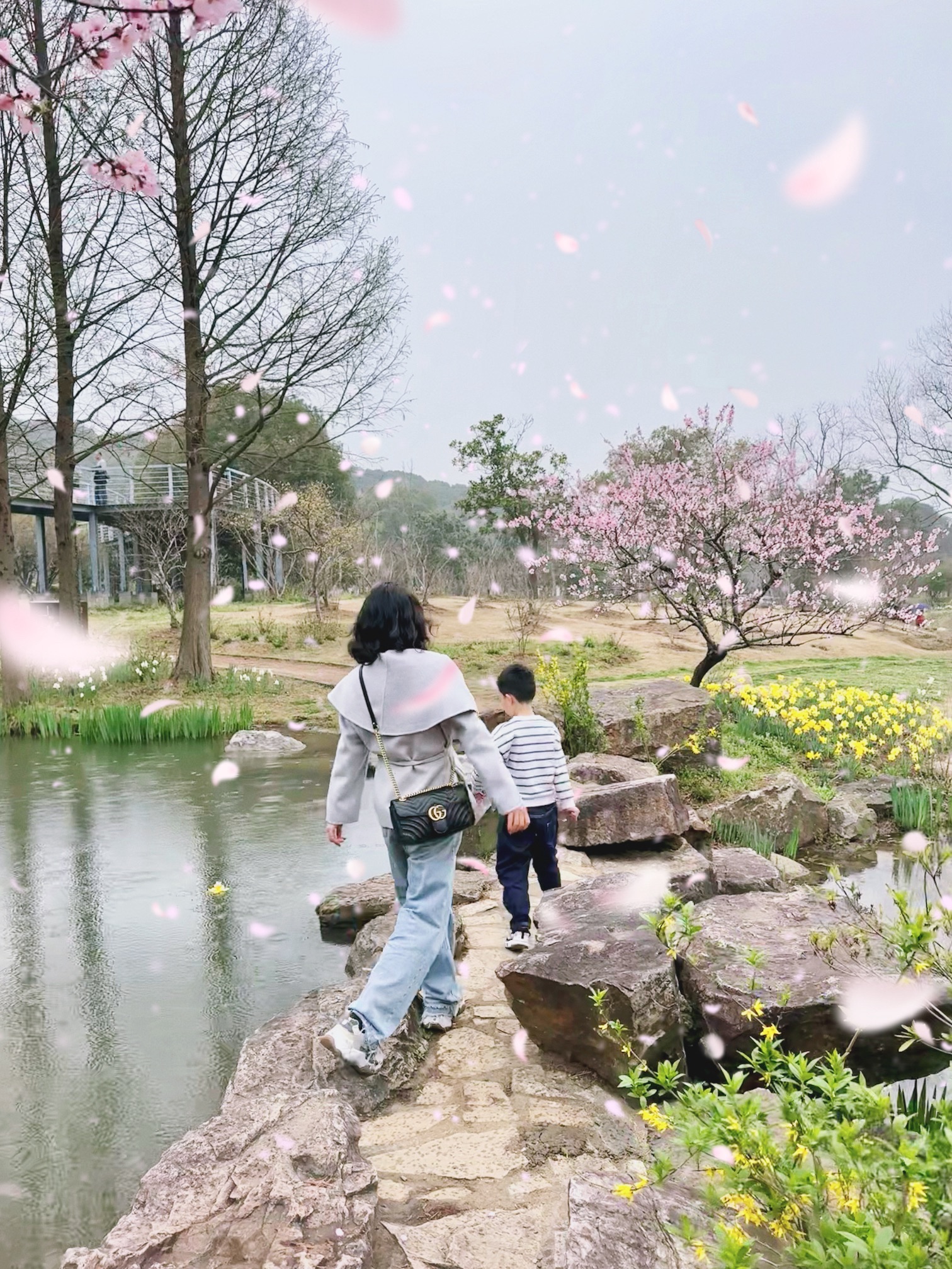 荣氏梅园旅行图片 1