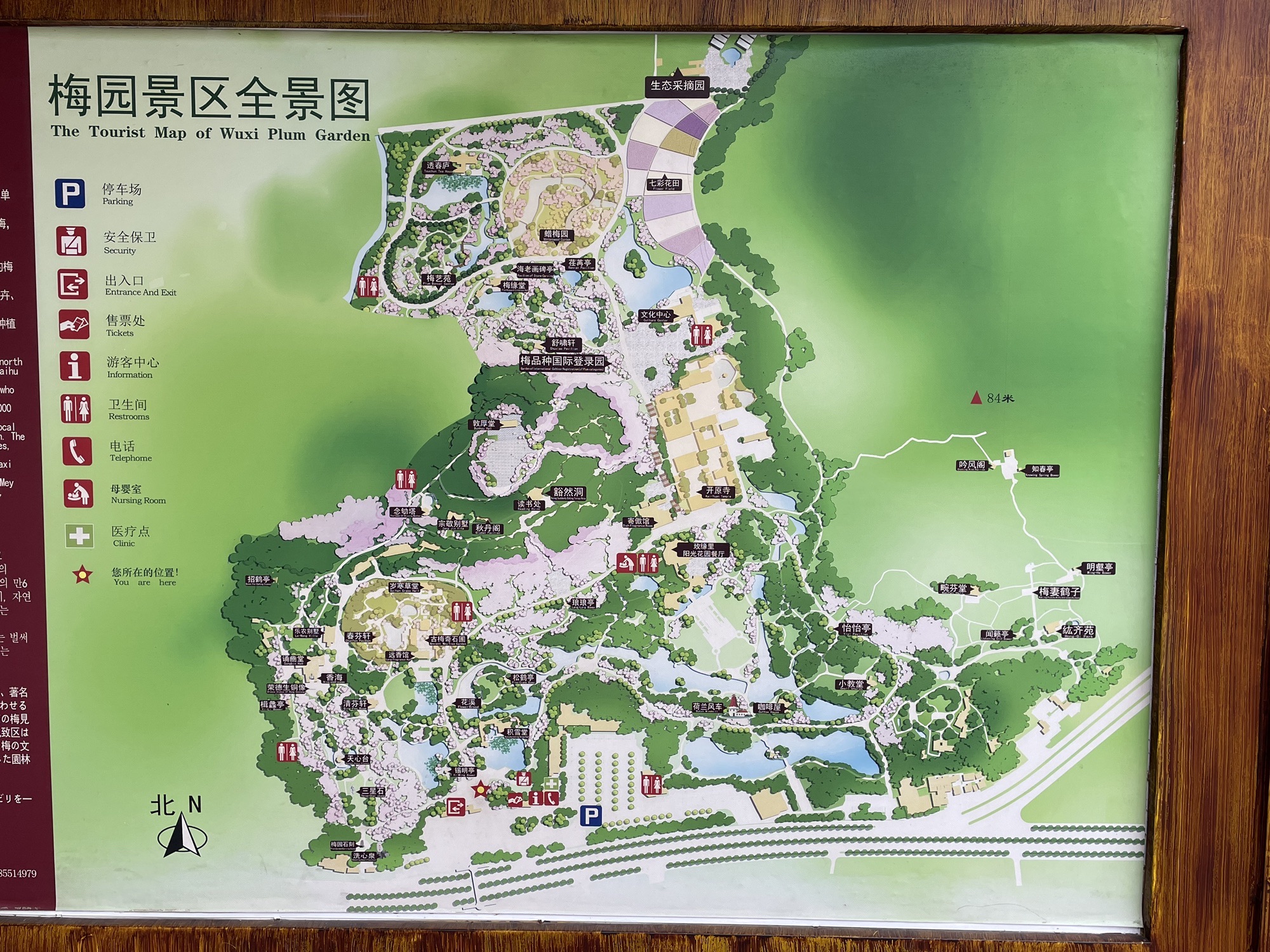 荣氏梅园旅行图片 2