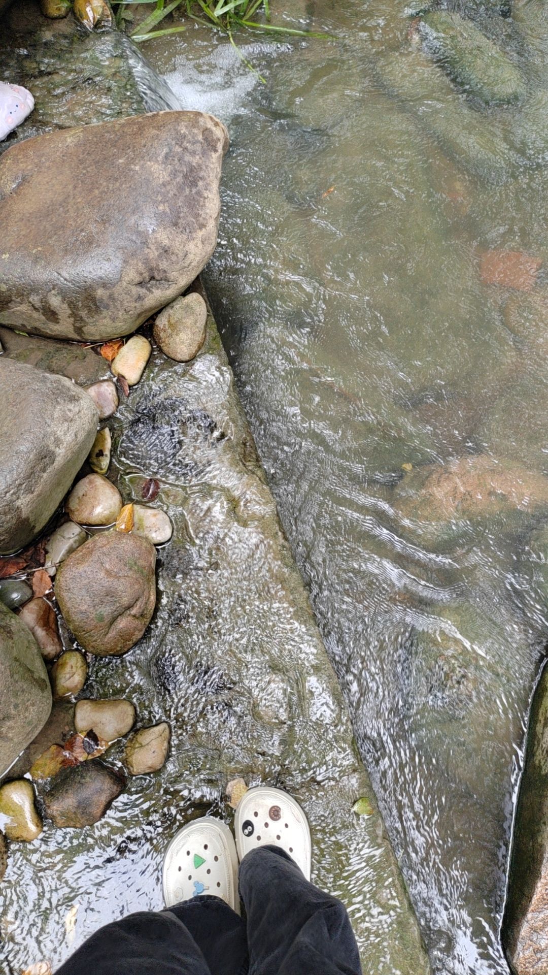 新洲生态园旅行图片 1