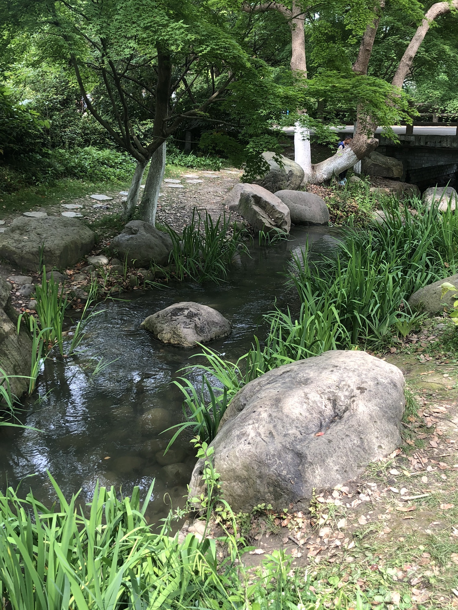 新洲生态园旅行图片 2