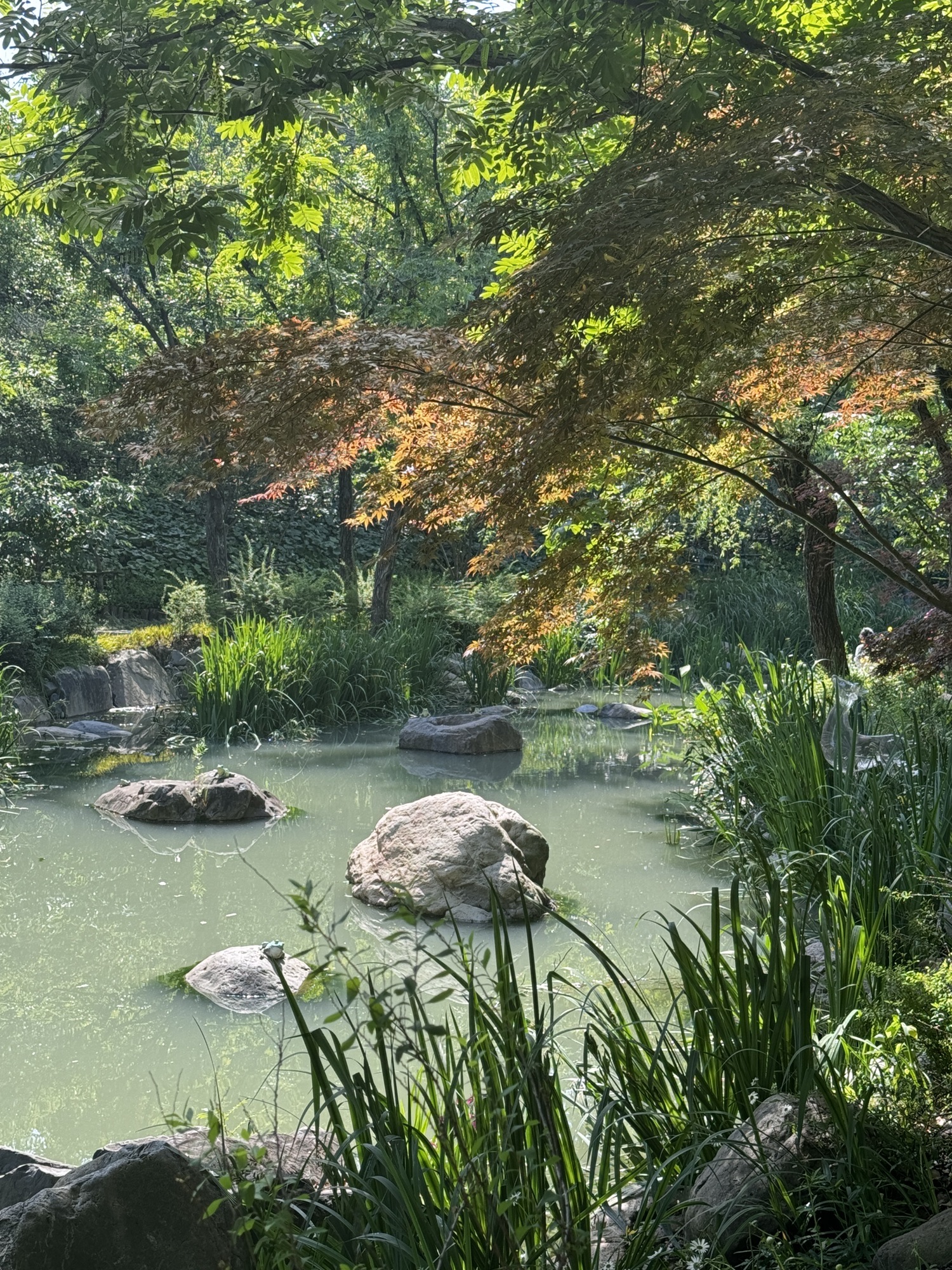仙蠡墩遗址公园旅行图片 3