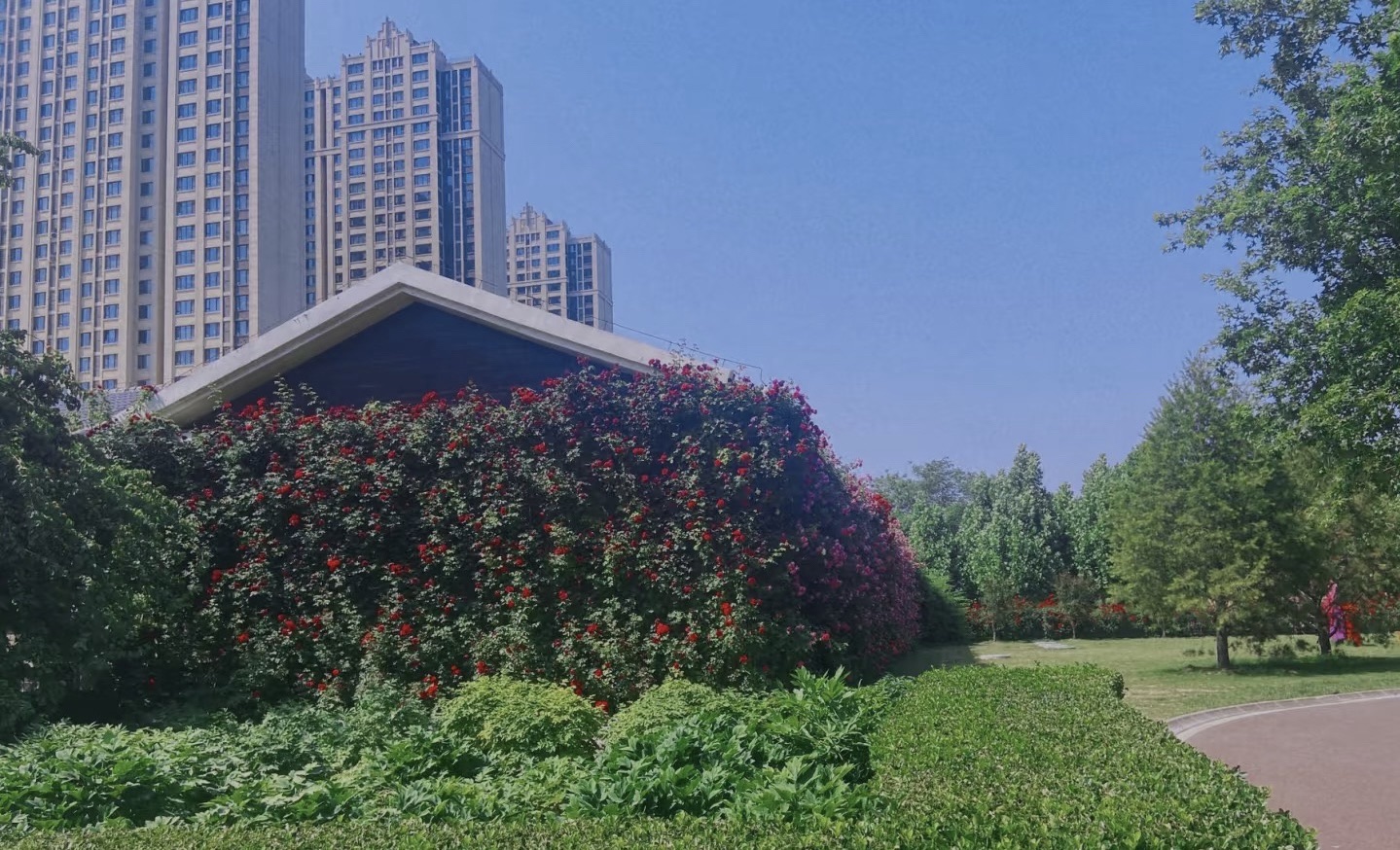 体育公园旅行图片 2