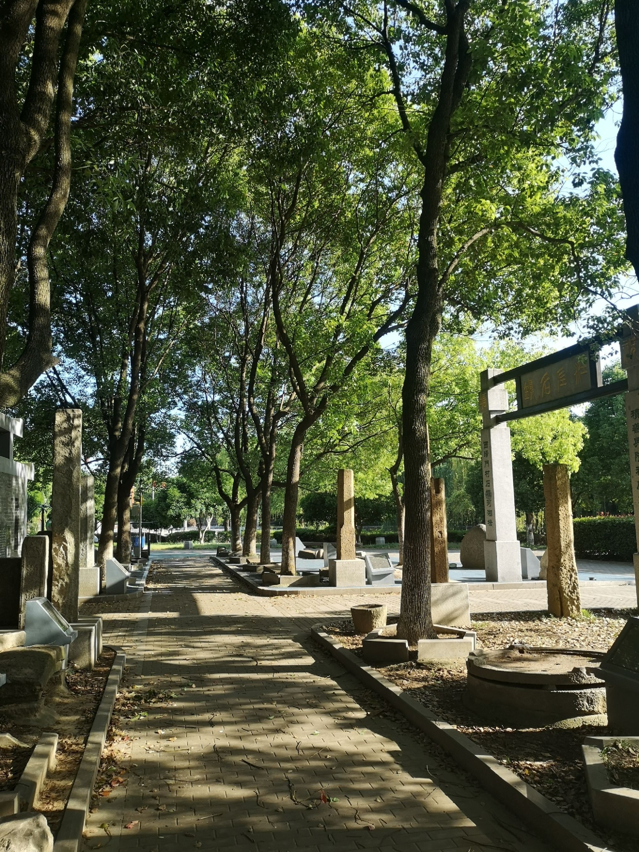 世纪公园旅行图片 1