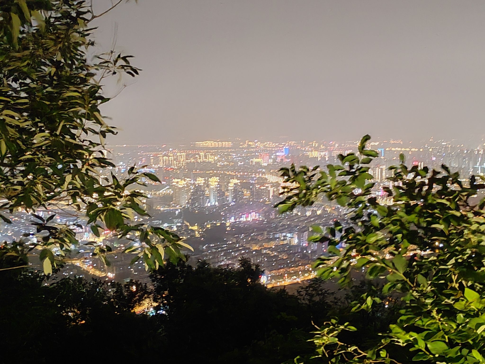 惠山国家森林公园旅行图片 1