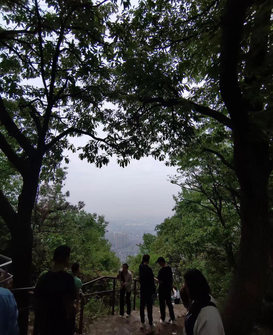 惠山国家森林公园旅行图片 1