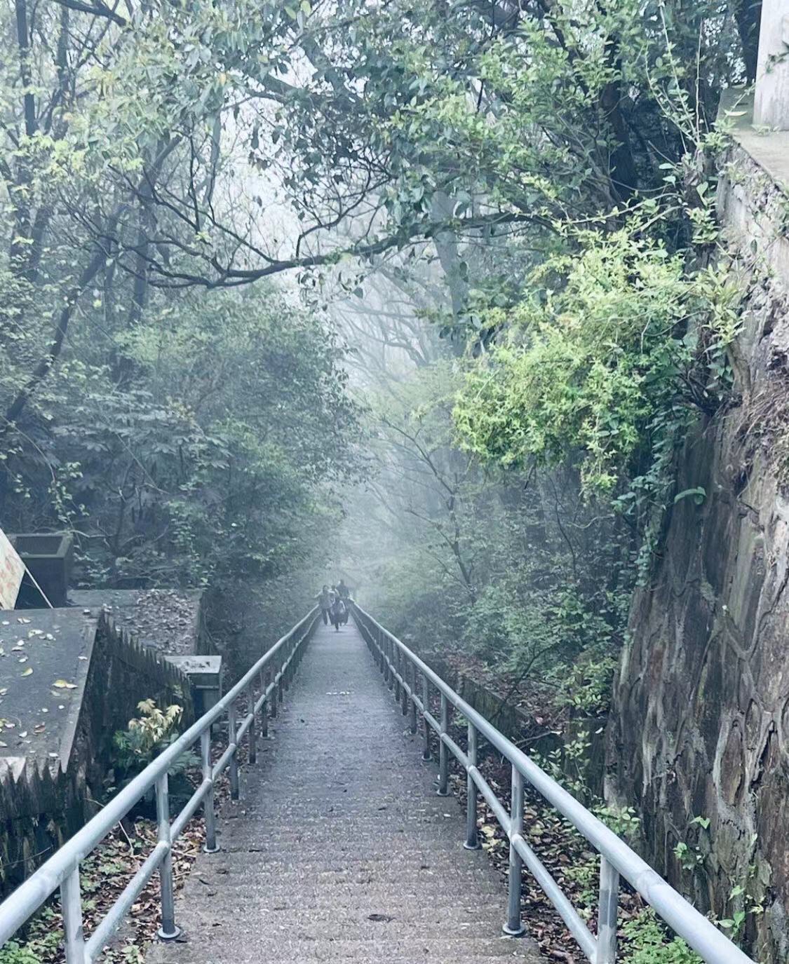 惠山国家森林公园旅行图片 3