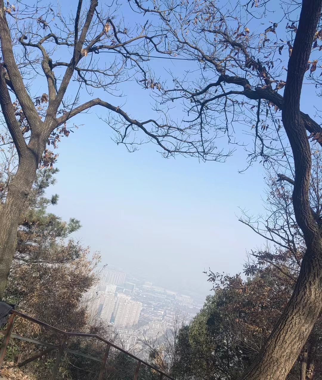 惠山国家森林公园旅行图片 3