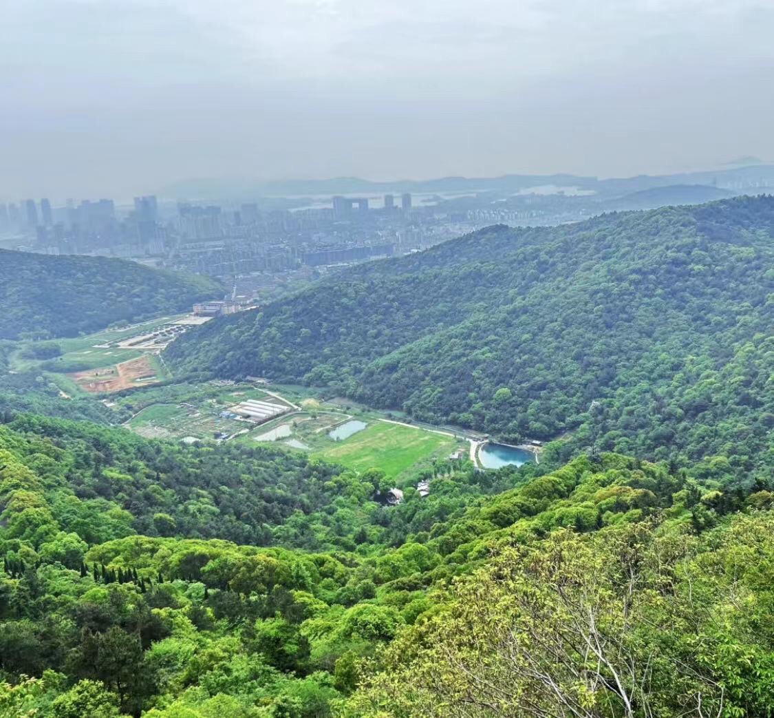 惠山国家森林公园旅行图片 2