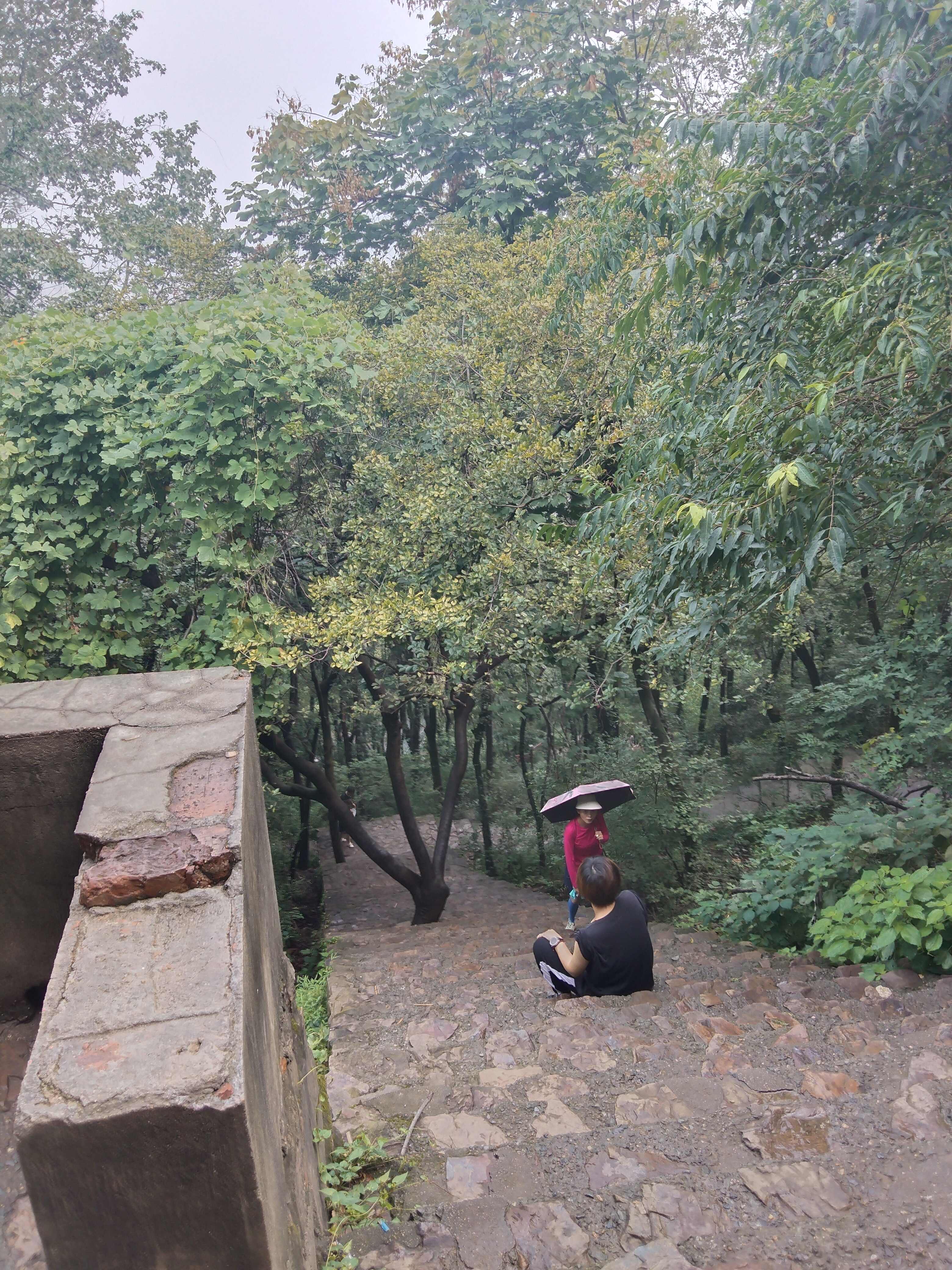惠山国家森林公园旅行图片 1