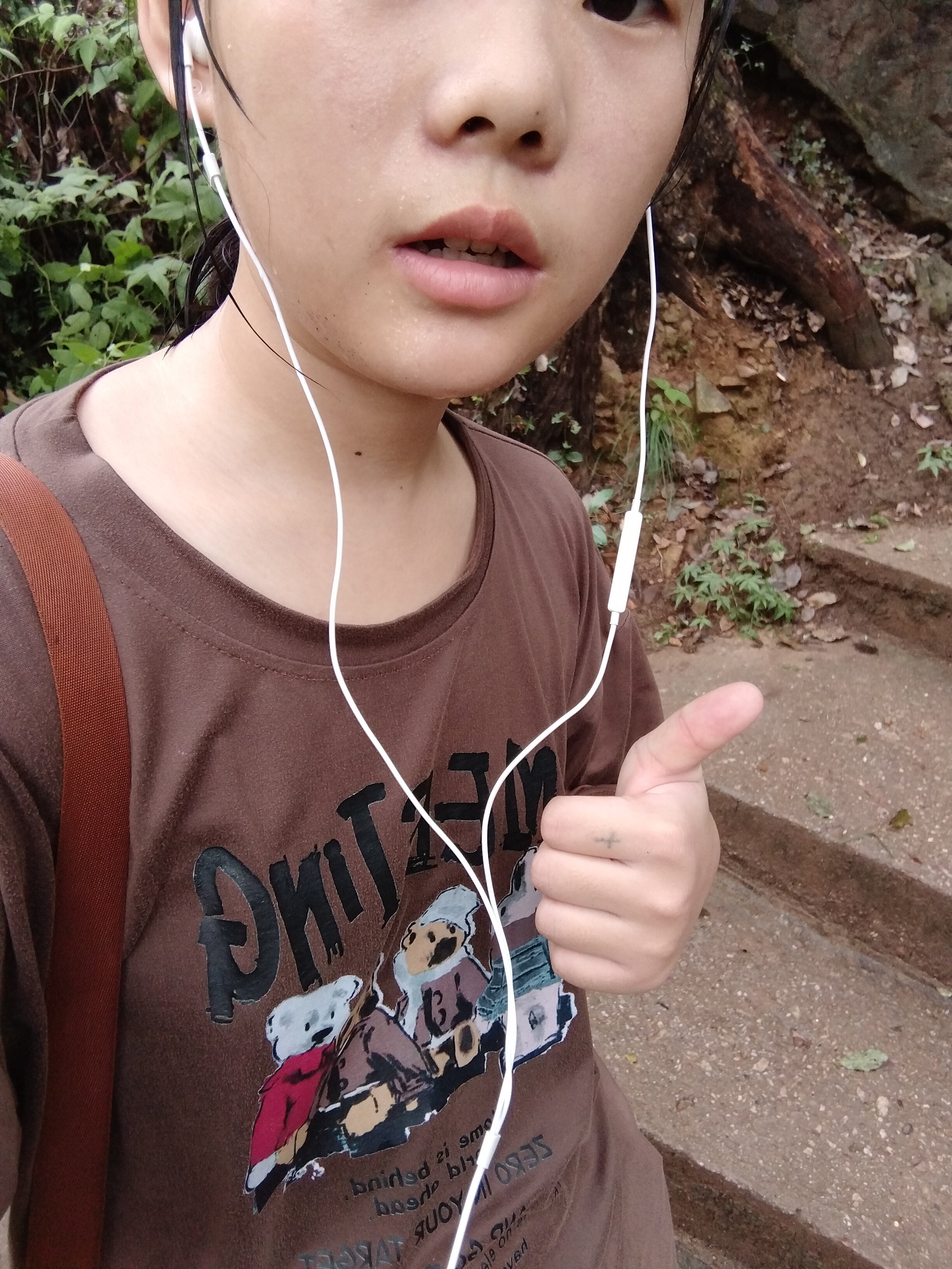 惠山国家森林公园旅行图片 3