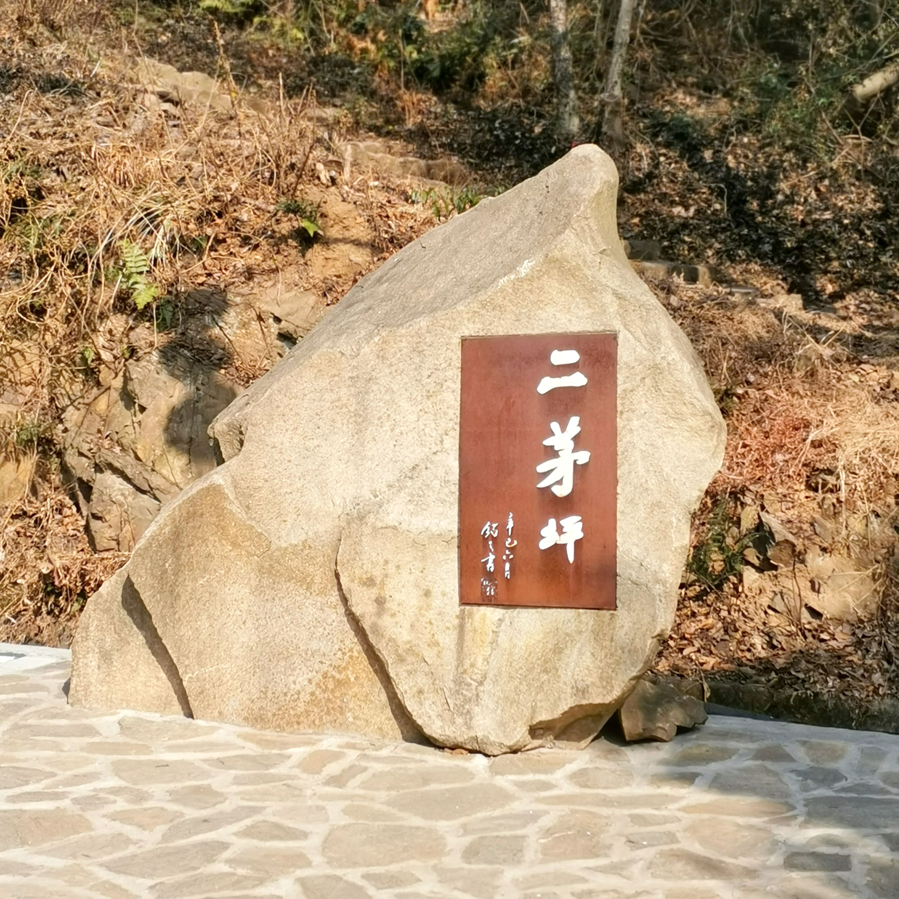 惠山国家森林公园旅行图片 2